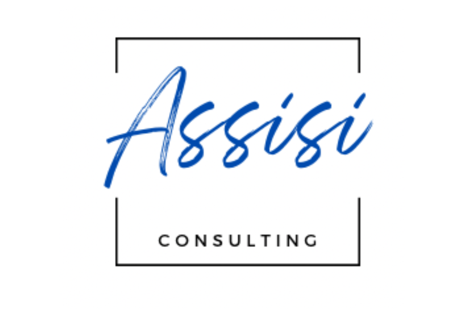 Assisi Consulting LLC