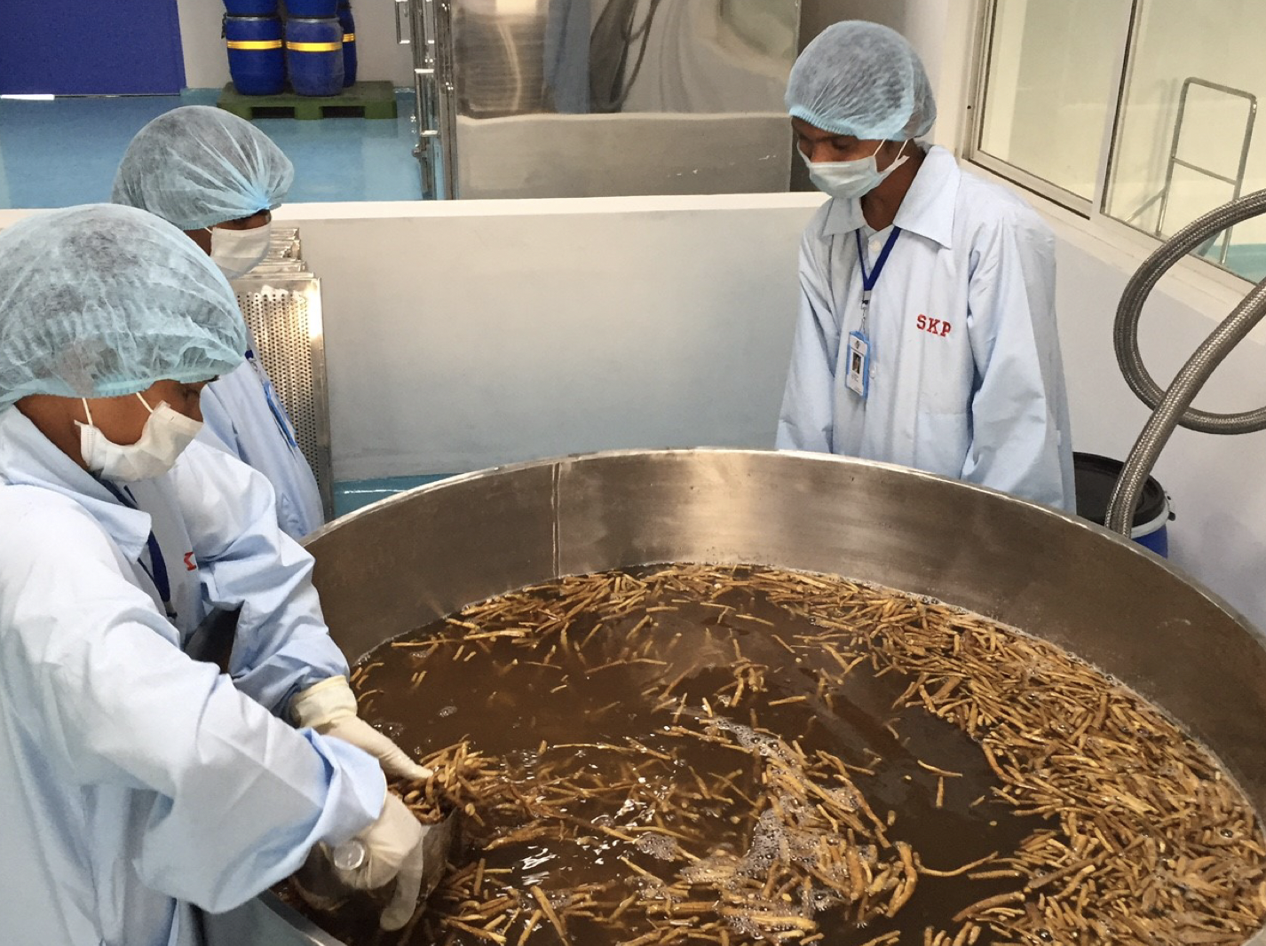 WIN Leaders Explore the Future of India–US Nutraceutical Collaboration