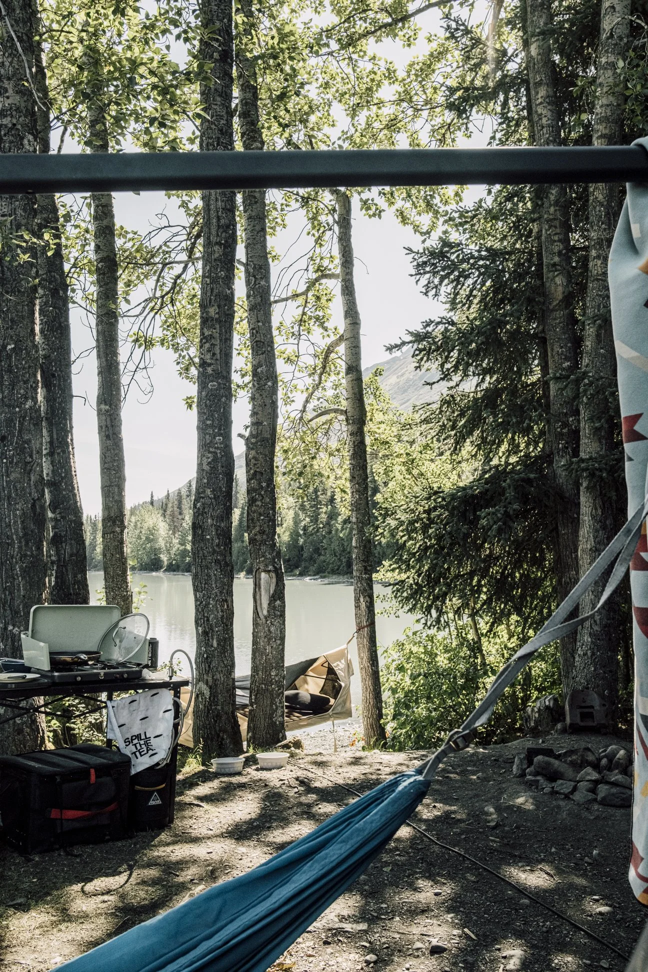 Alaska Summer-2.jpg