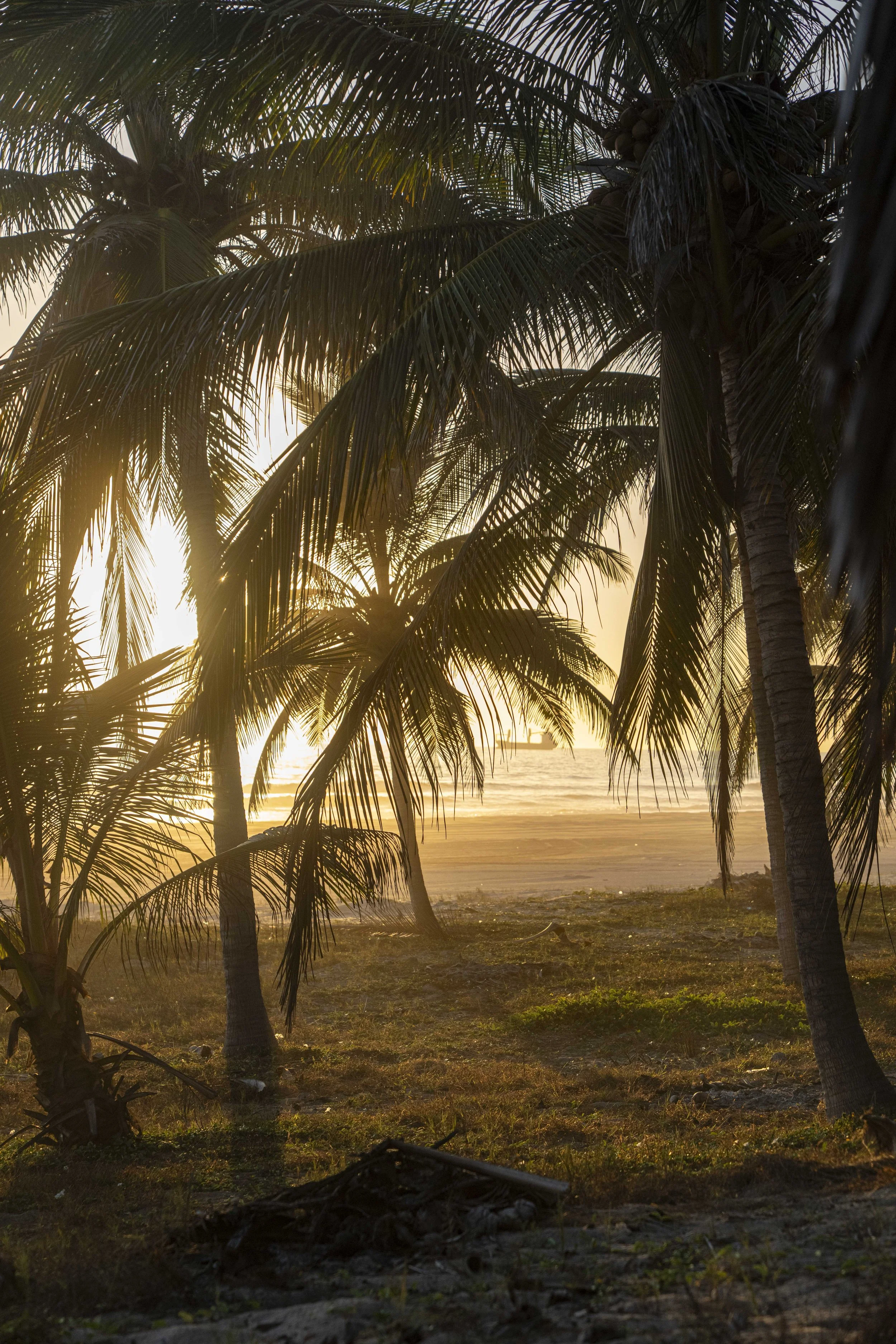Mazatlan.jpg