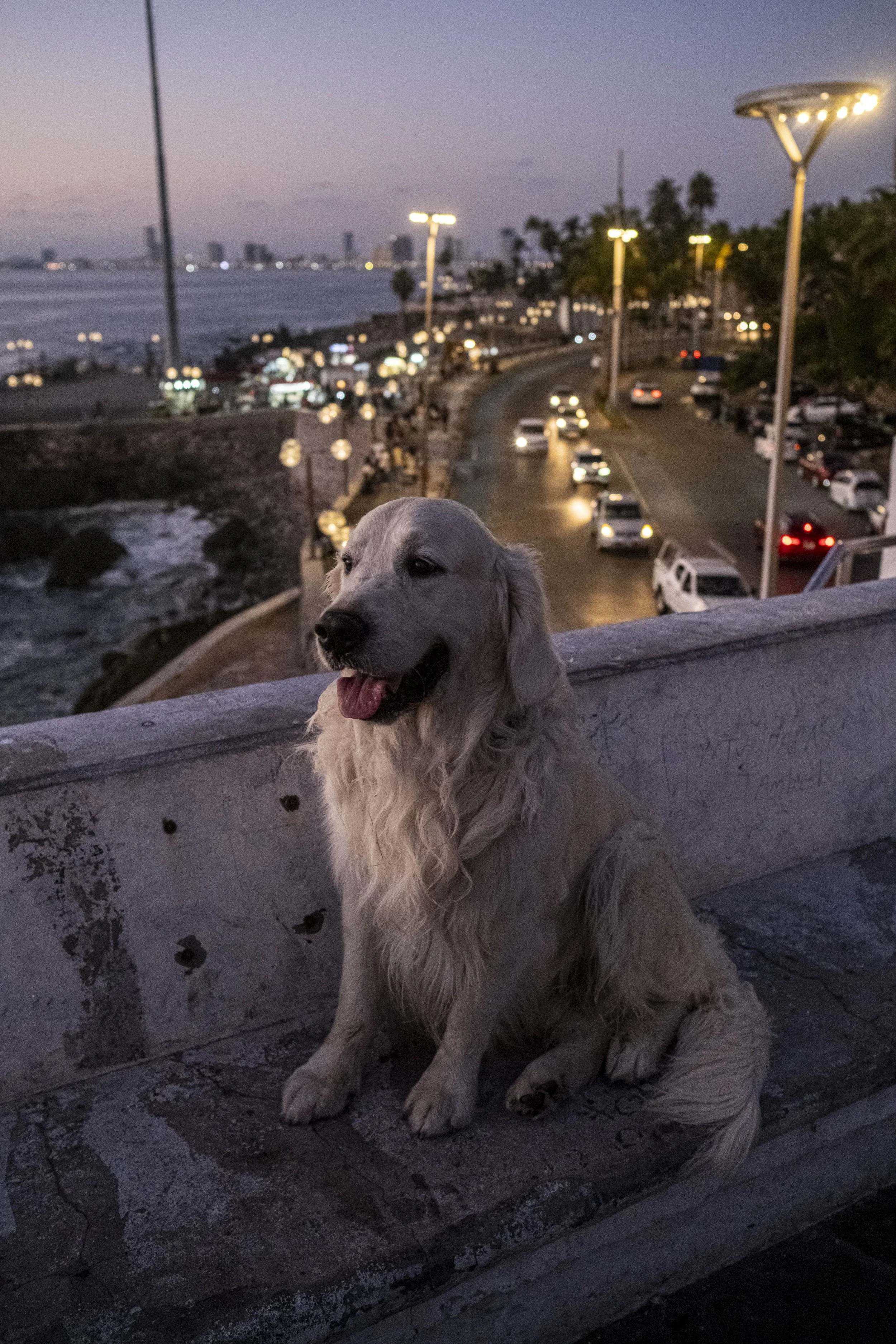 Mazatlan-2.jpg