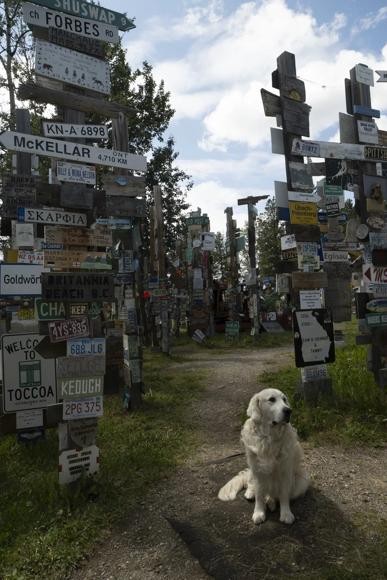 Yukon River-2.jpg