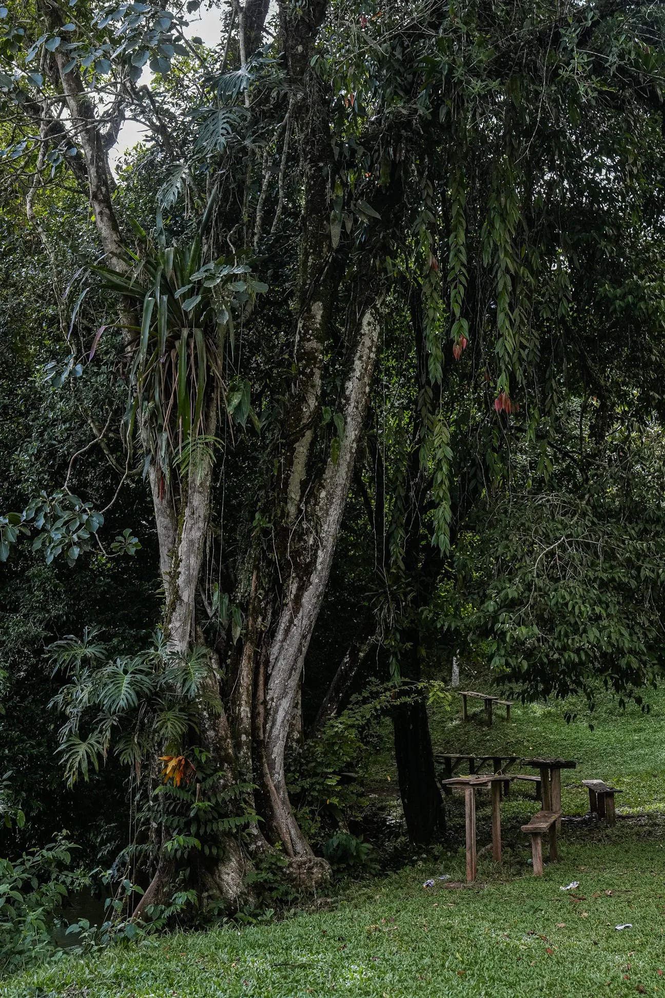 El Remanso-25.jpg