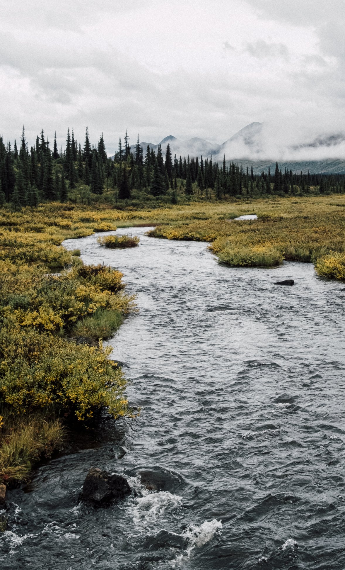 Alaska Summer-7.jpg