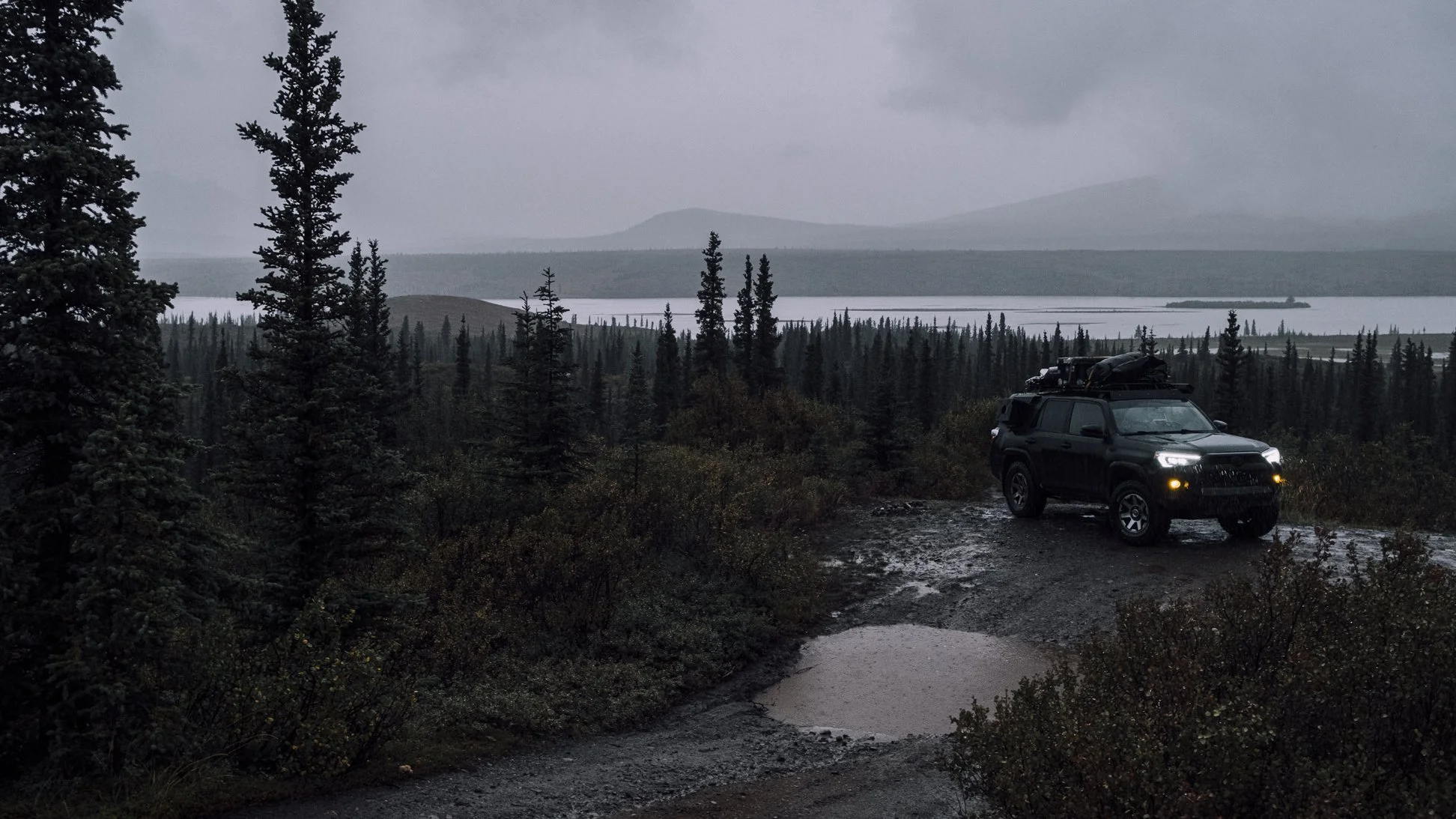 Alaska Summer-8.jpg