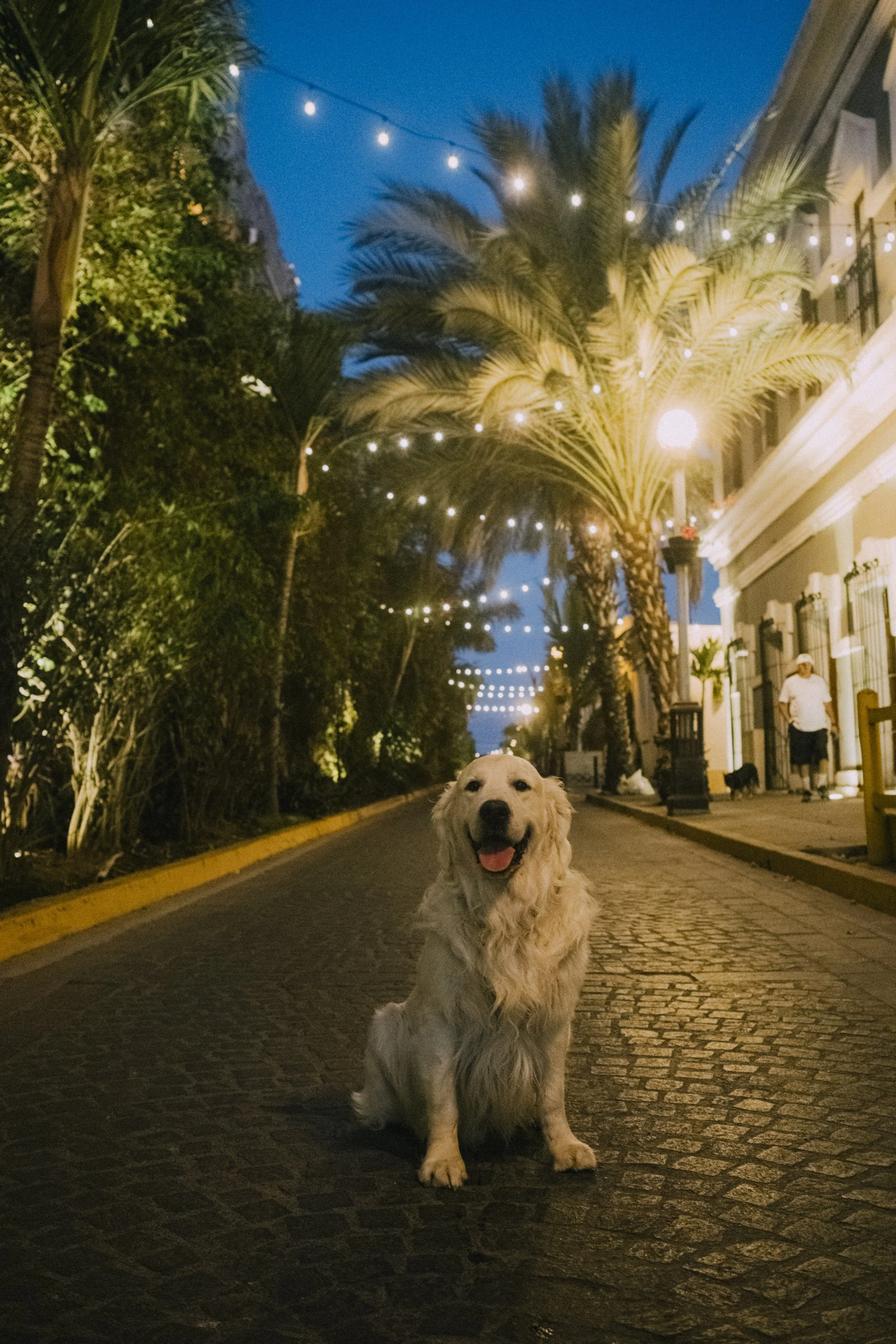 Mazatlan-3.jpg