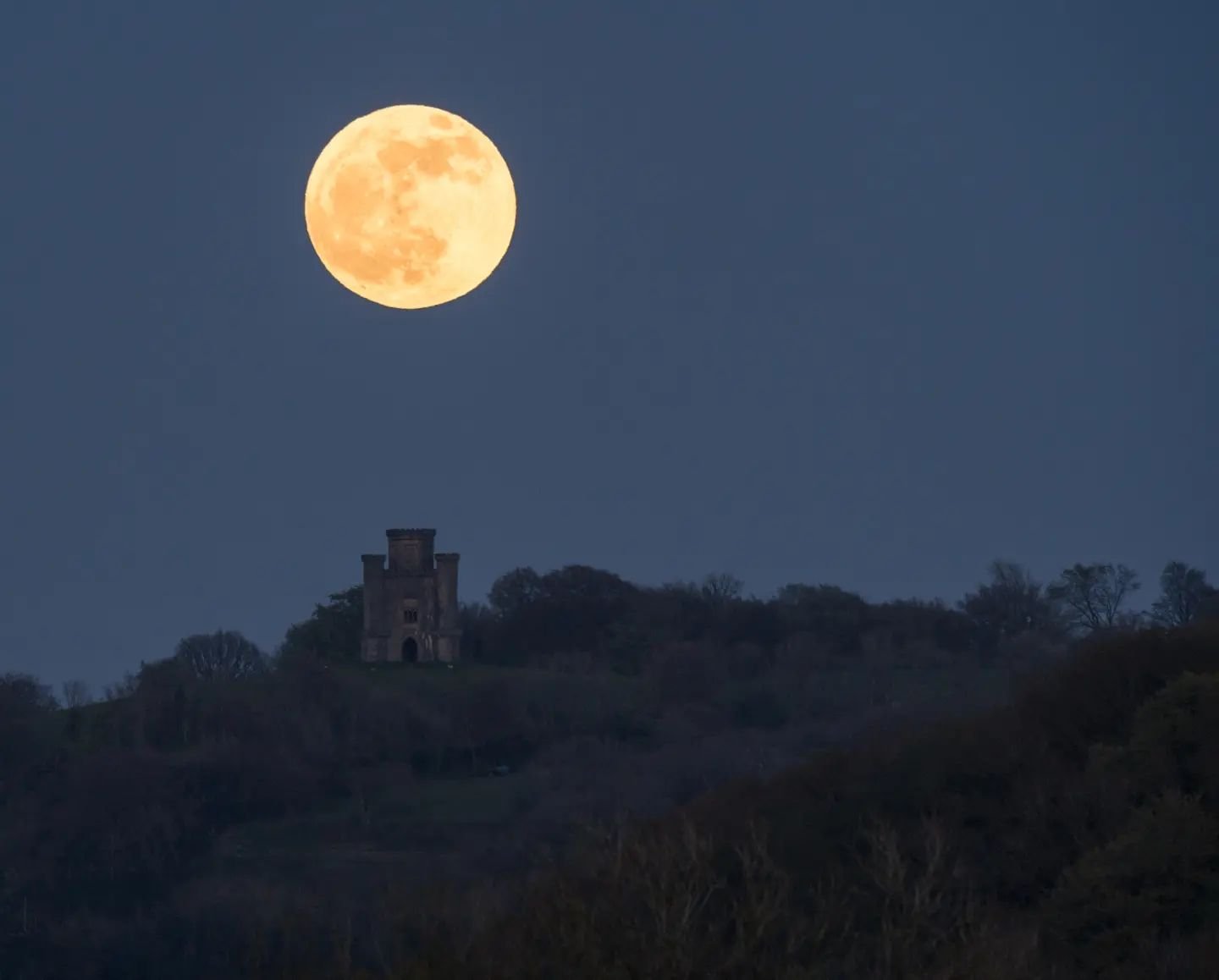 Paxton's Tower. Full Moon.

#astrophotography #astro_photography_ #astrobritain #sonya7iii #witns #uk_nightphotography #longexpoelite #longexposure #nightscape #wales #yourastro #yourwales #yourskies #yourcastles #astrophoto #moon #milkyway #milkyway