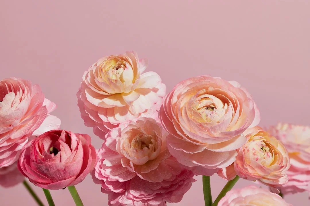How I Rebuilt My Confidence and Transformed My Life—And How You Can Too