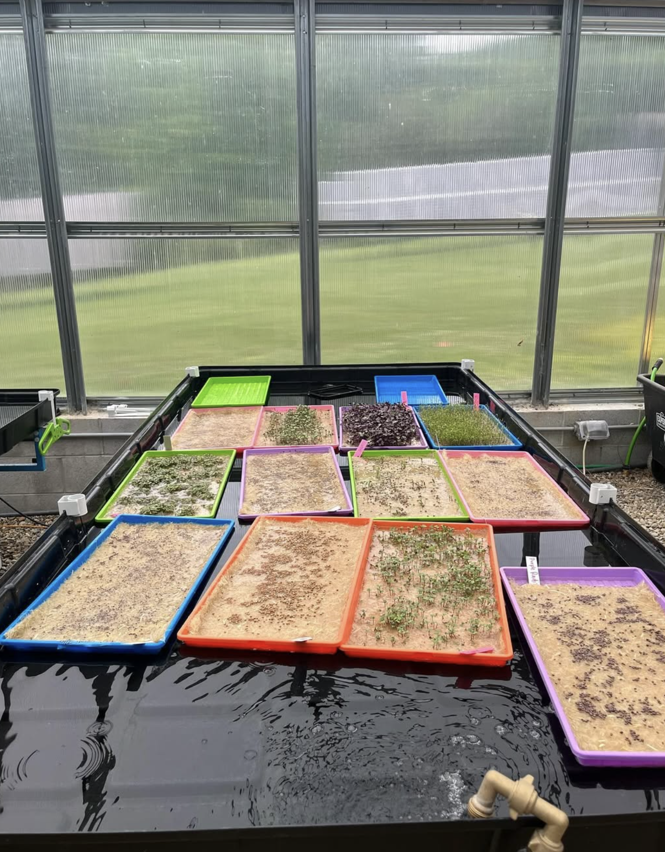 Screenshot 2025-05-30 at 12.55.40 PM.png