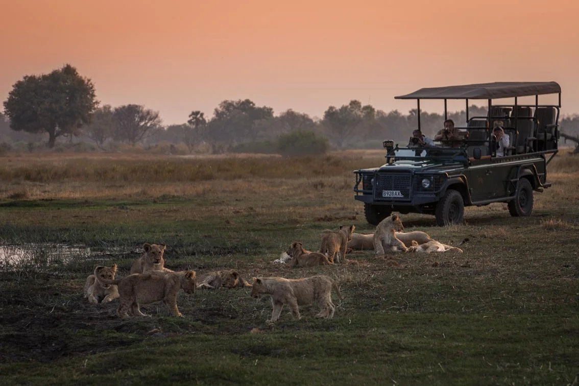 Immersive Safari Activities:  Learn about the wildlife and their habitat firsthand during morning and afternoon activities led by expert wildlife-trackers.