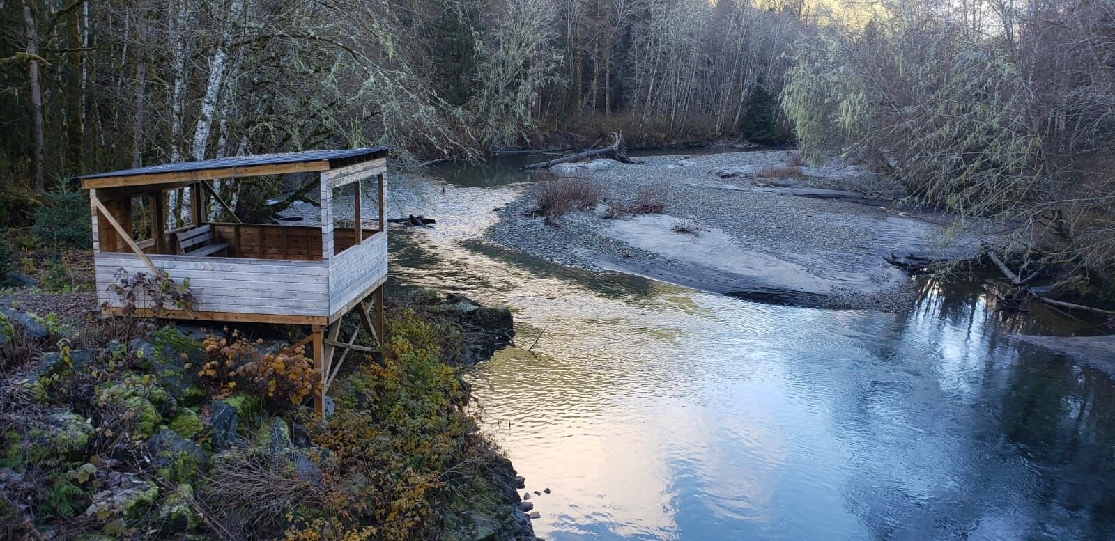 Grizzly Viewing platform