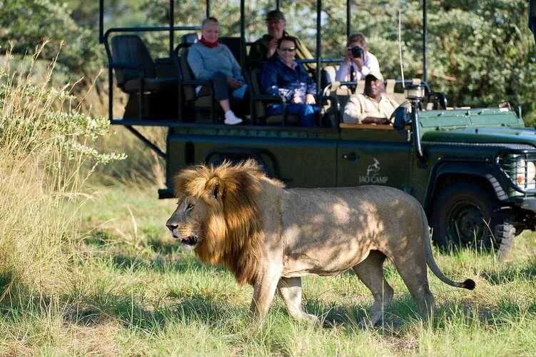 okavango-delta-wildlife.jpg
