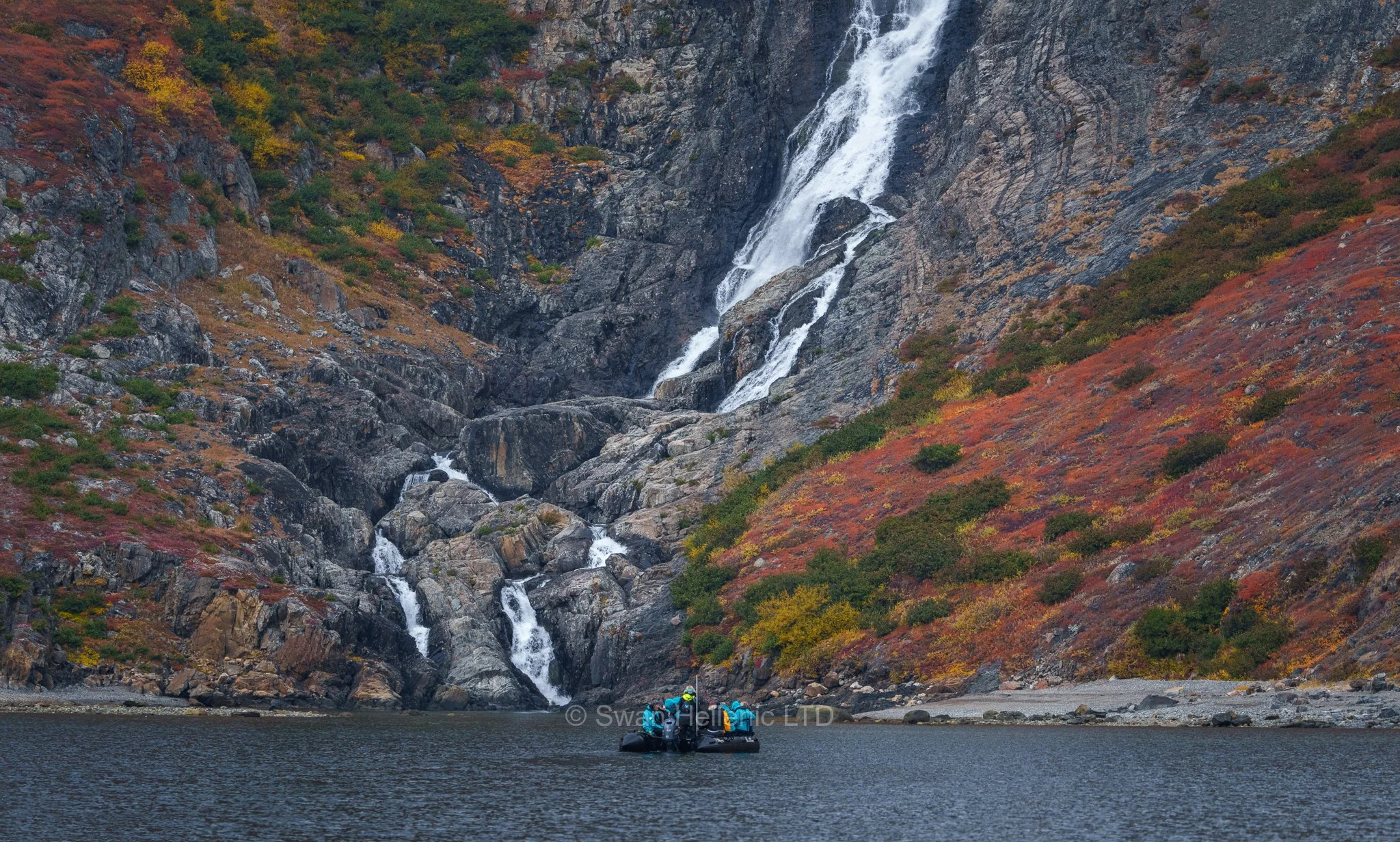 Expedition cruise guests in a zodiac watching wildlife in a remote destination.