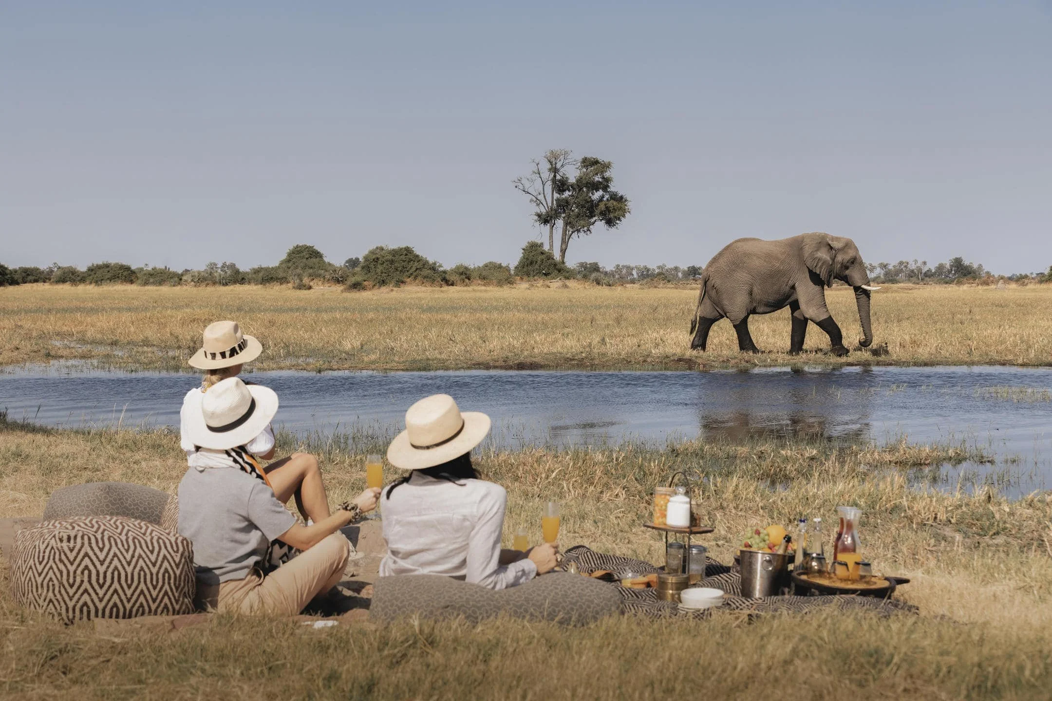 Safari guests enjoying a riverside picnic while watching elephants cross on the far bank during an African safari.