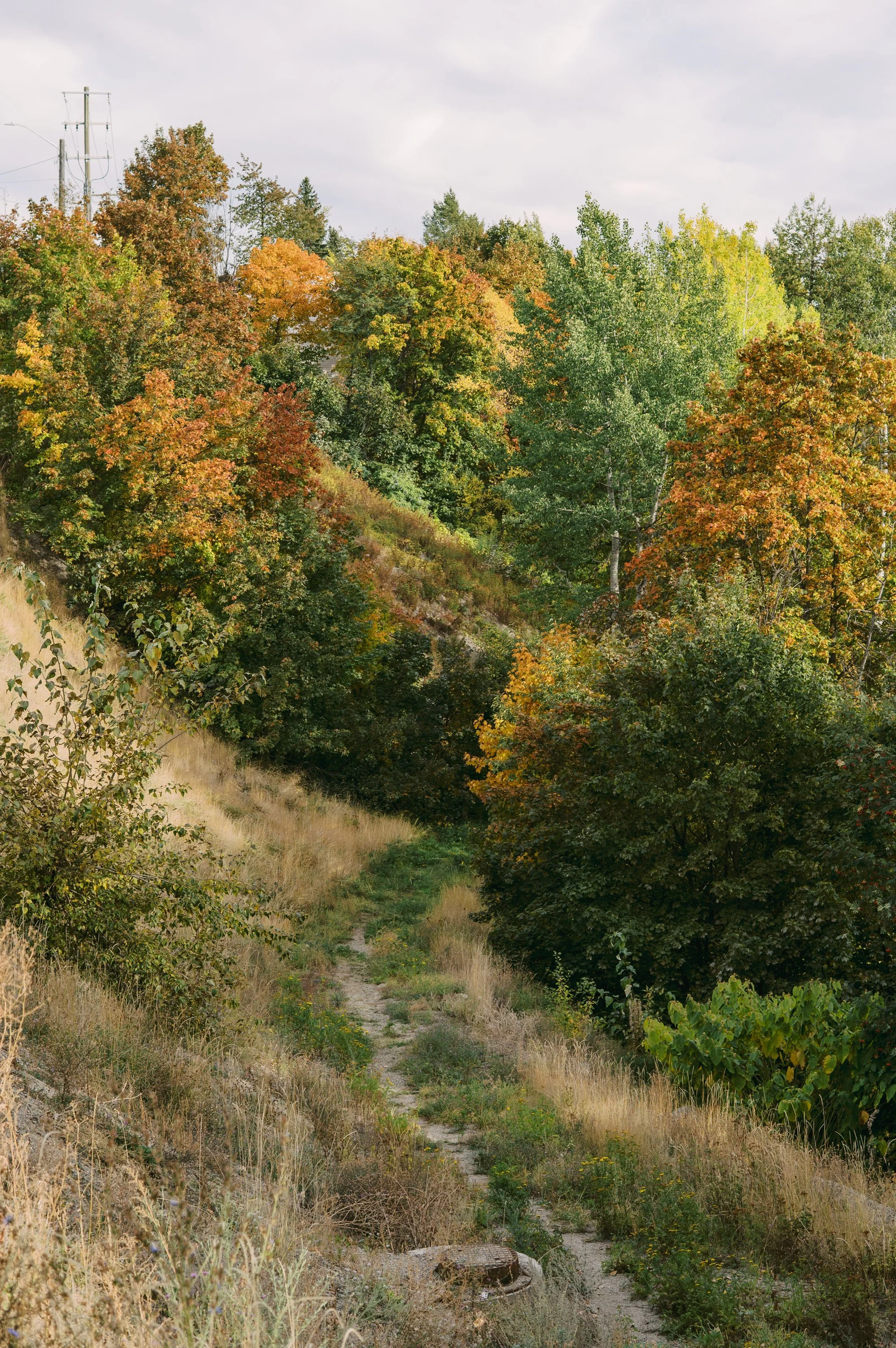 0005-Rossland-Oct25.jpg