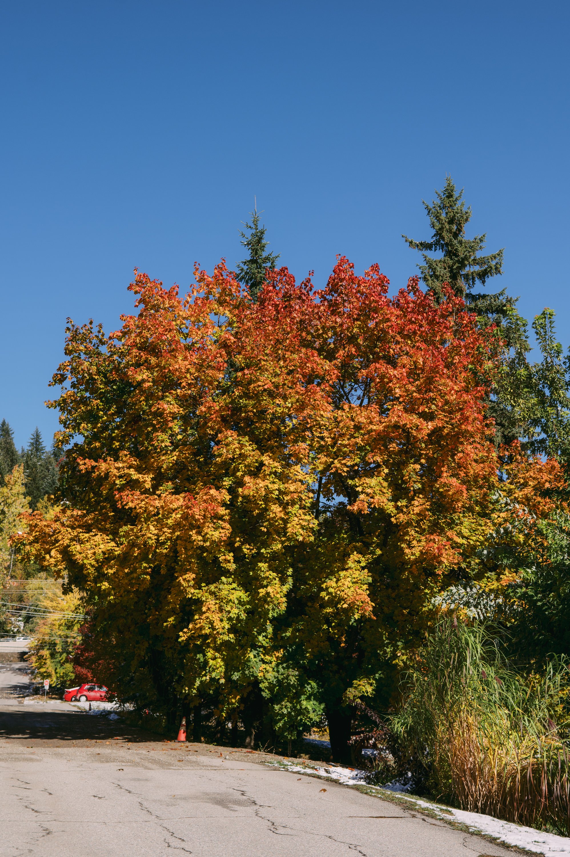 0046-Rossland-Oct25.jpg