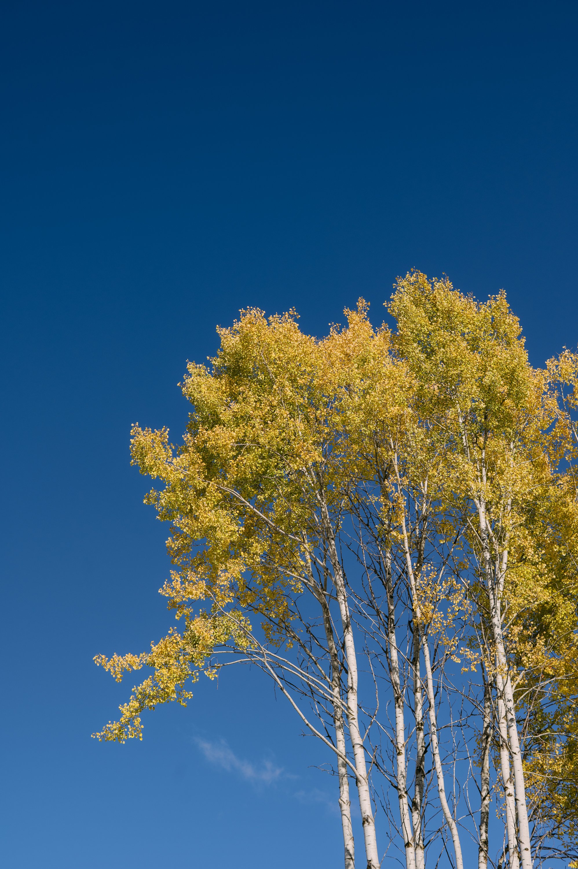 0049-Rossland-Oct25.jpg