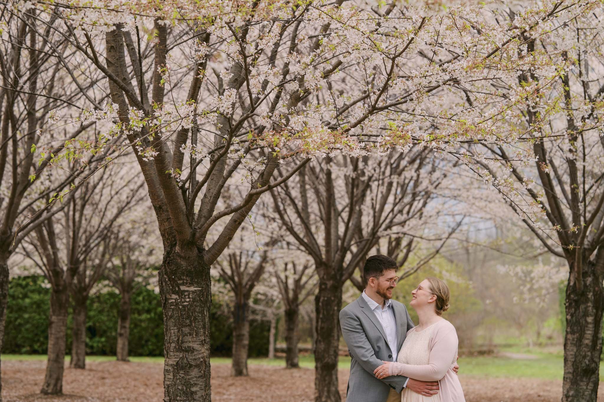 Cherry Blossom Engagement Shoot