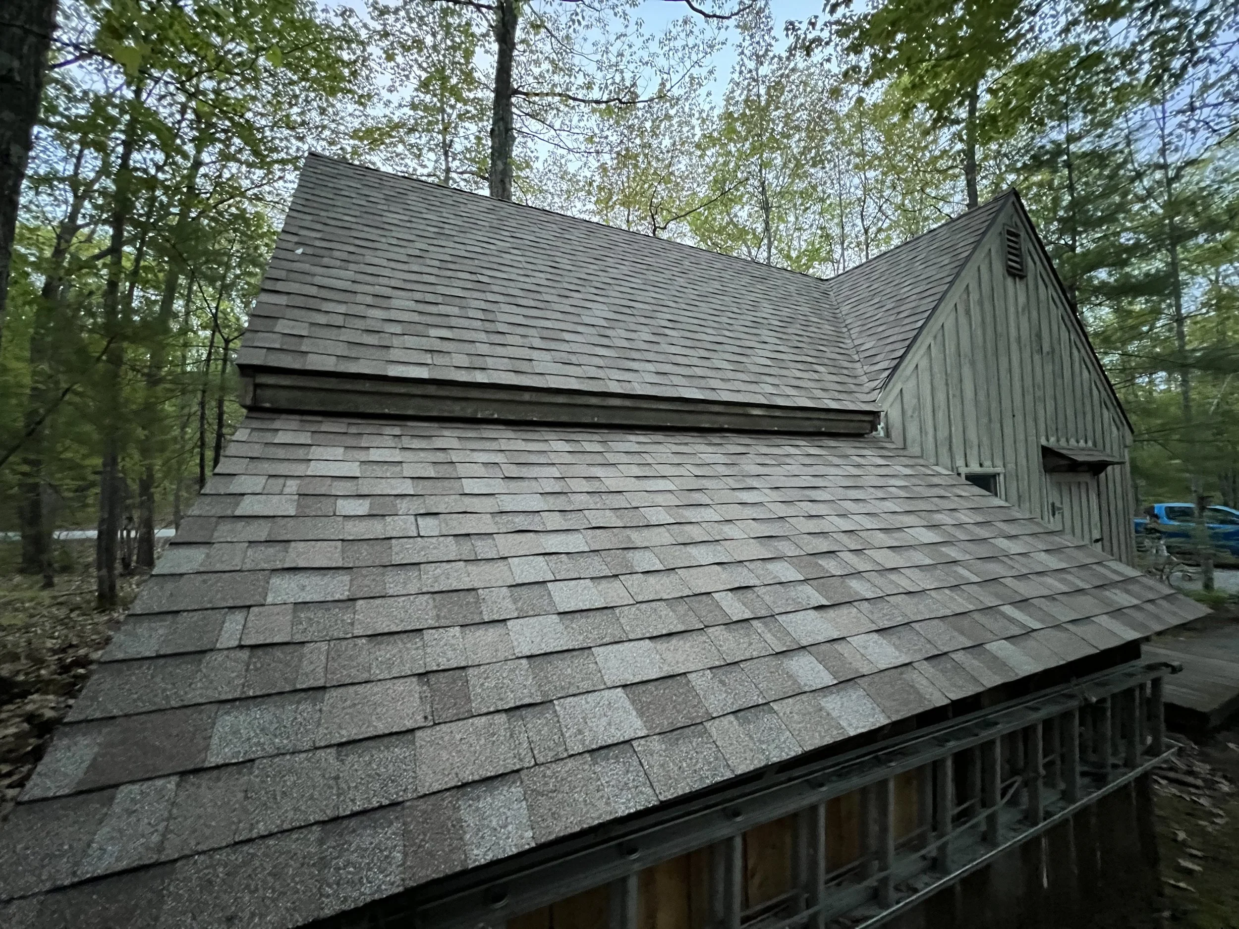 Close-up of a house roof with asphalt shingles, located in a wooded area.