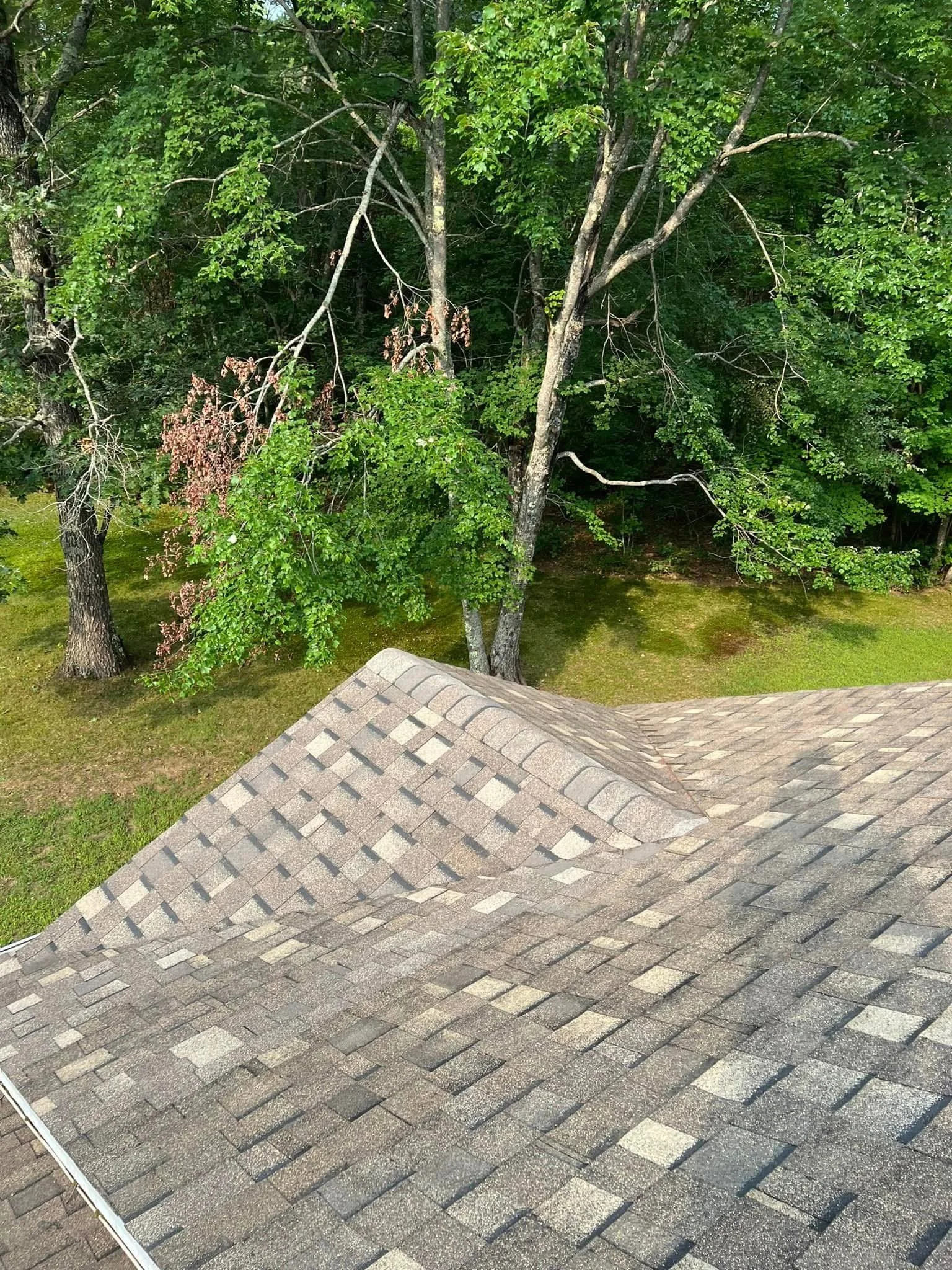 View from a rooftop showing a green yard with trees and grass.