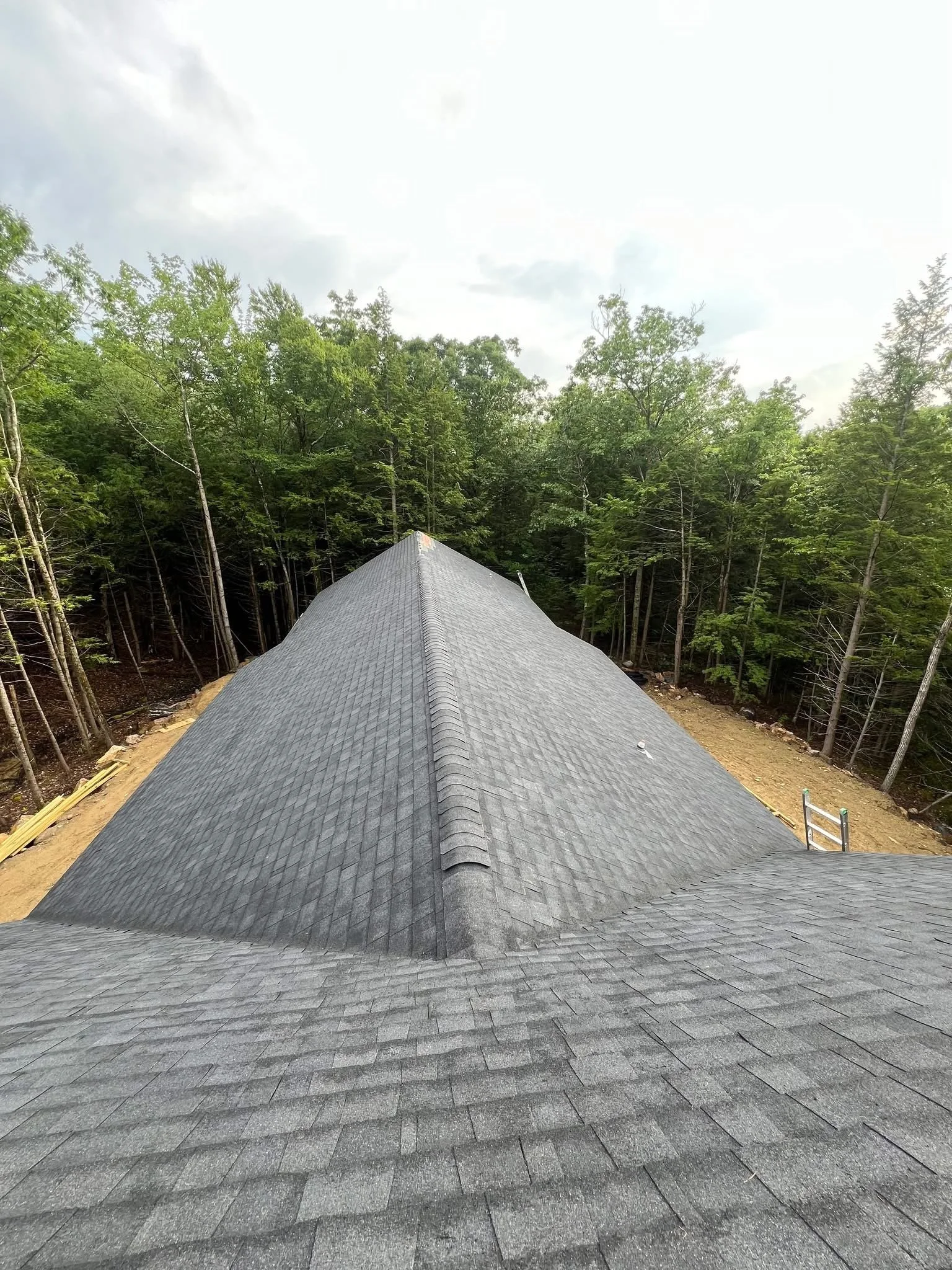 View of a gray shingle roof on a building, surrounded by a green forest with tall trees, under a partly cloudy sky.