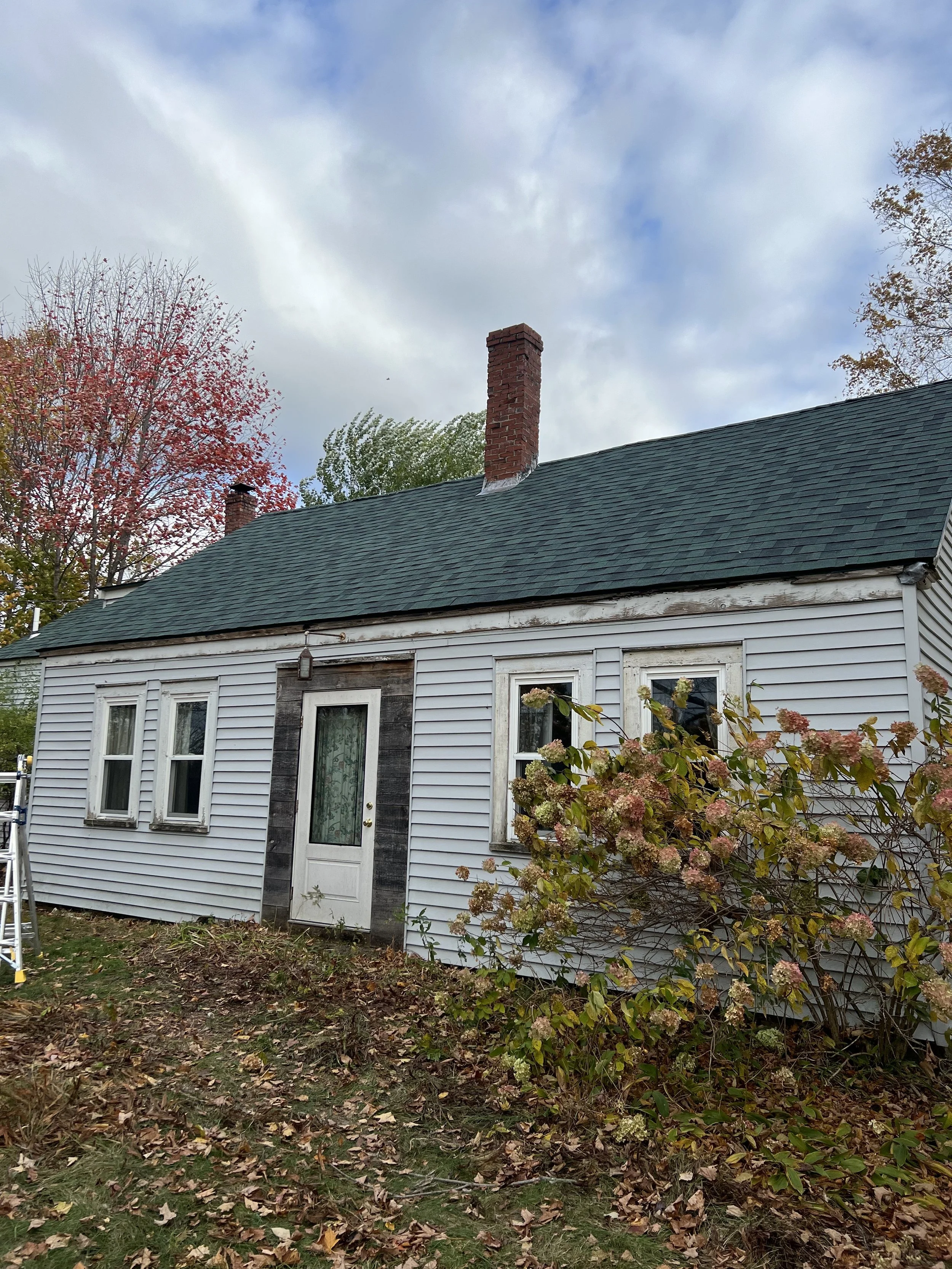View of an old house with peeling white siding, a green shingled roof, a chimney, and a door with two windows. There are overgrown plants and fallen leaves in the yard, and trees with autumn foliage in the background under a partly cloudy sky.