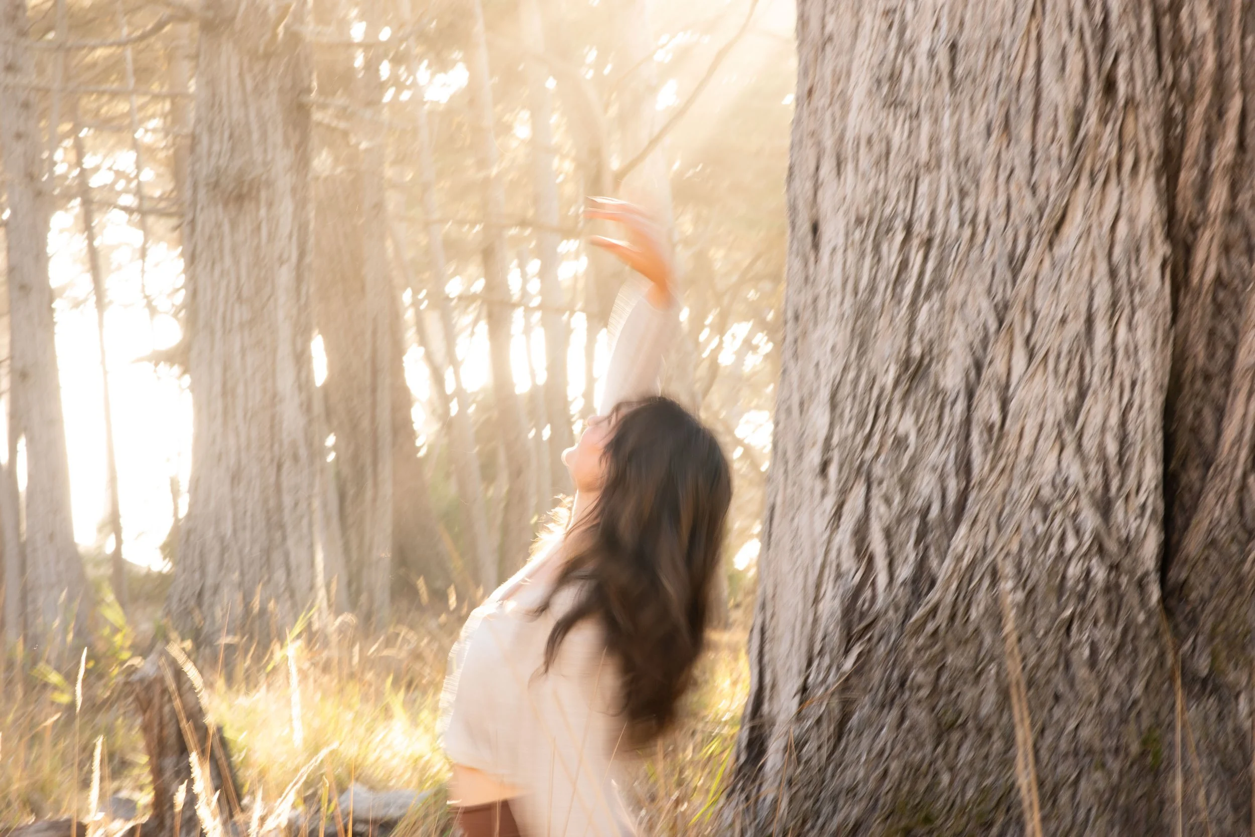 Yoga at Monterey Museum of Art