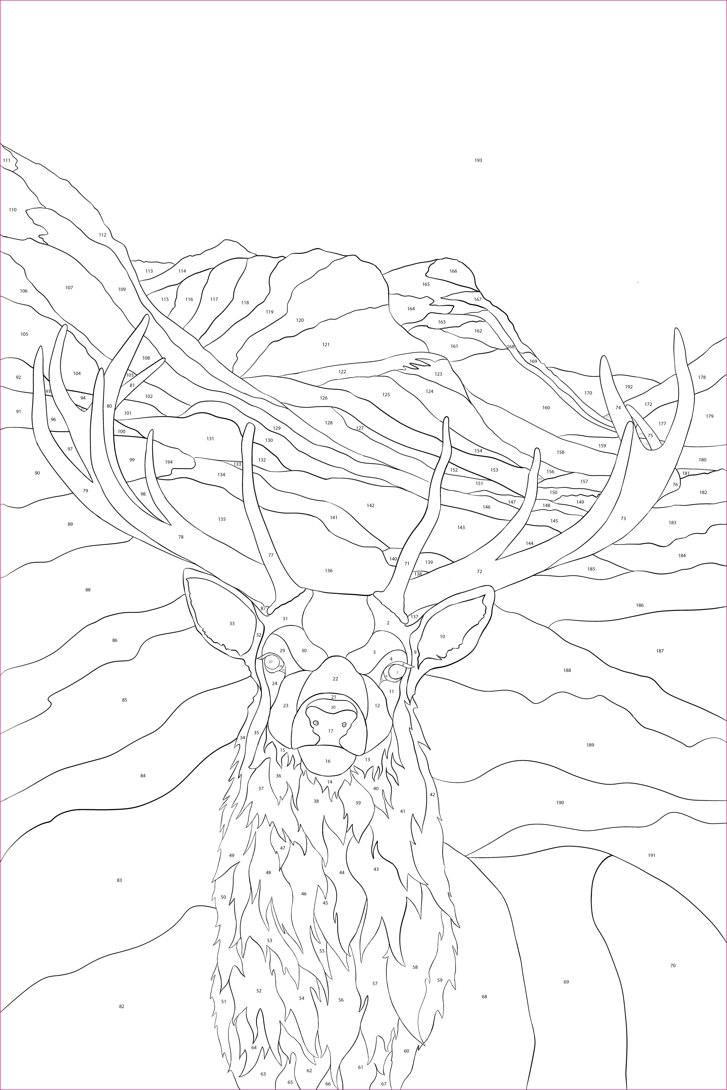 Stag in process (Copy)