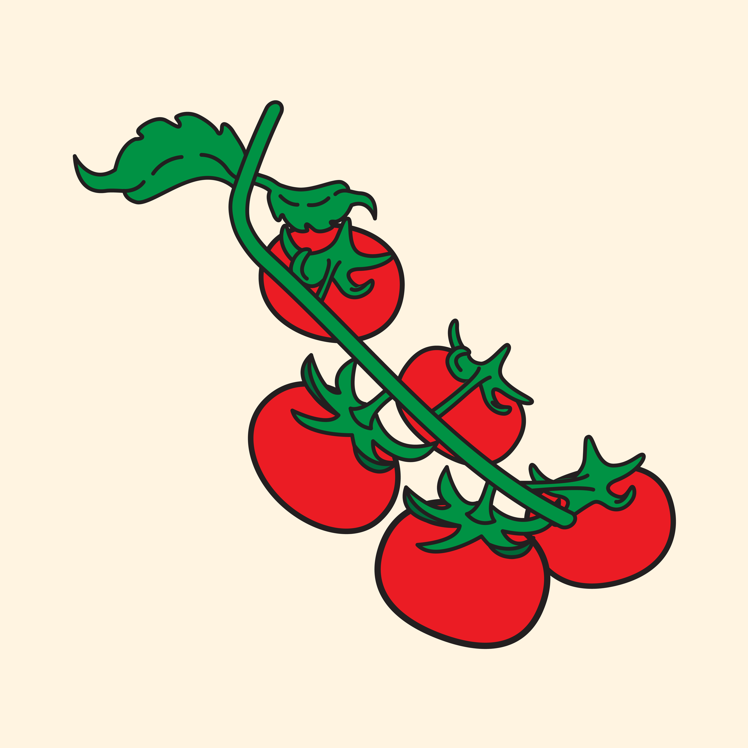 TOMATO_FNL-08.png