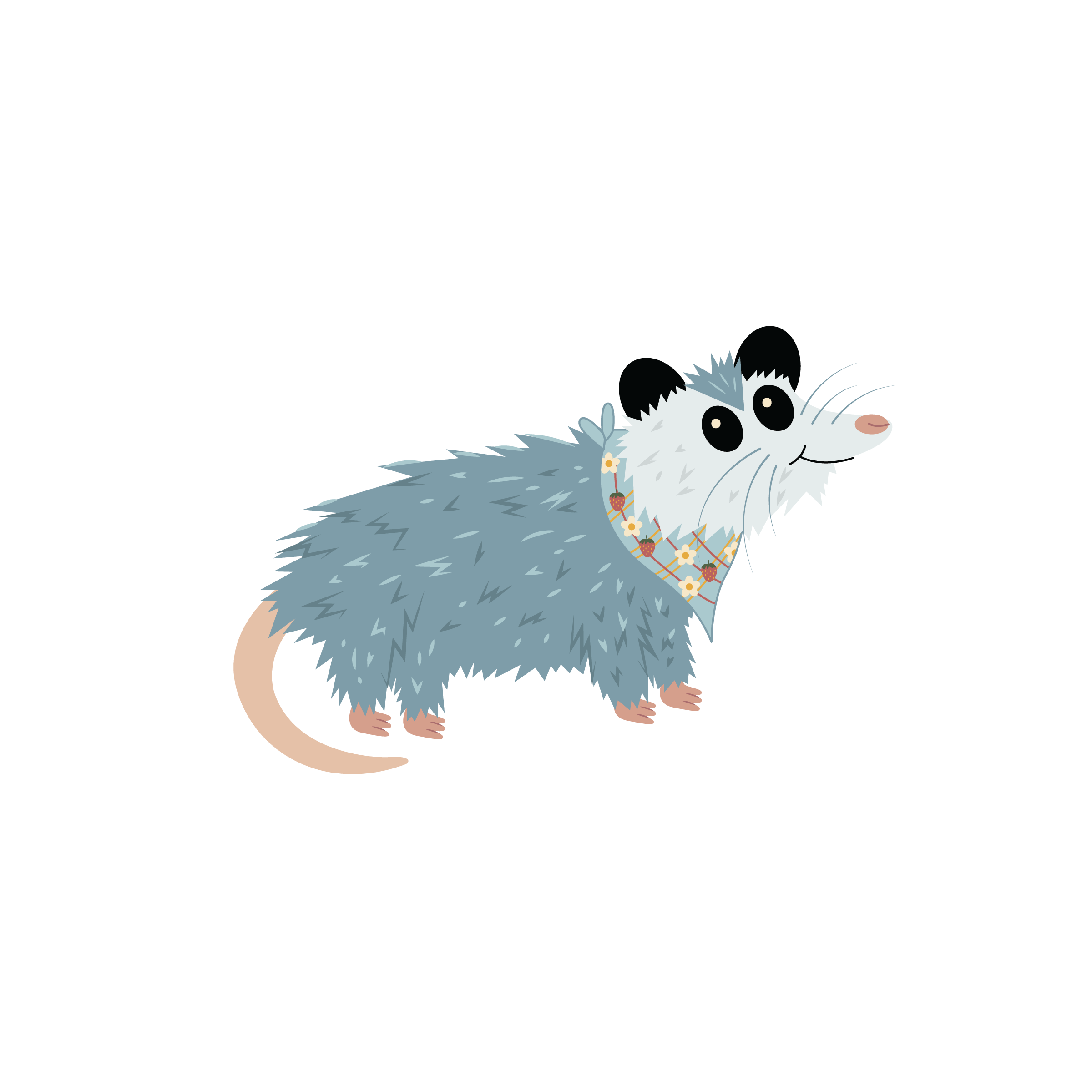 Lily the Virginia Opossum.png