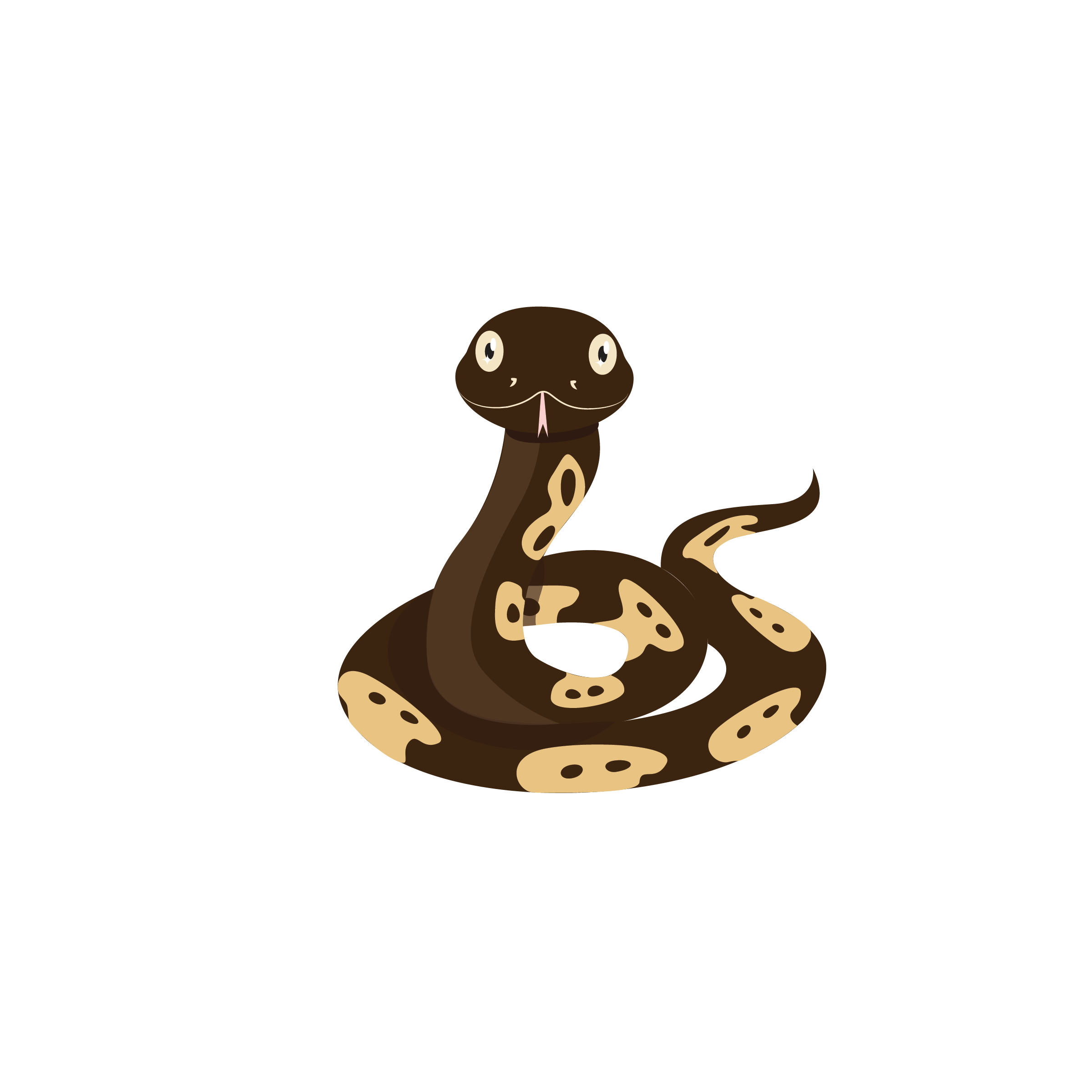 Mocha the Ball Python.png