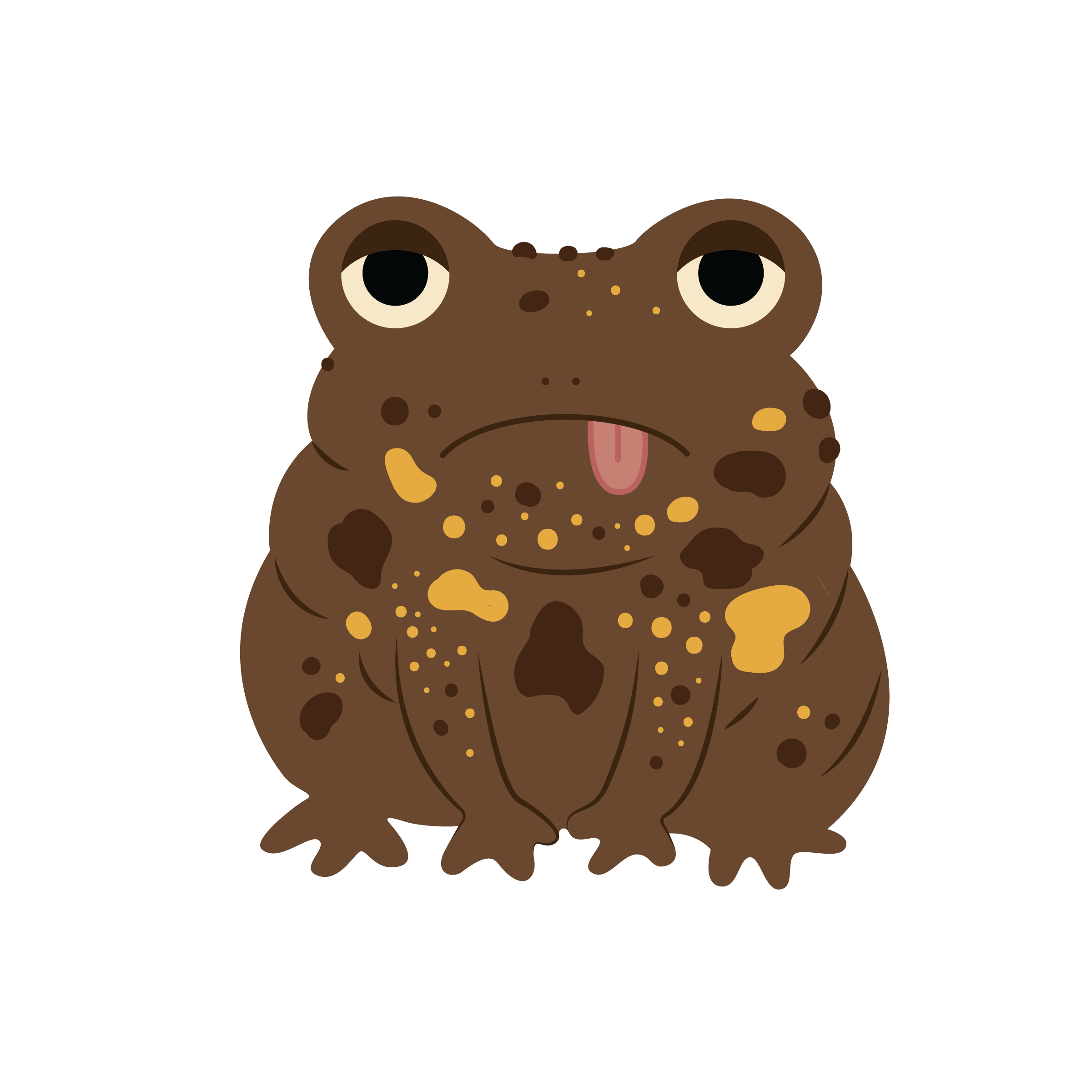 Wart the American Toad.png