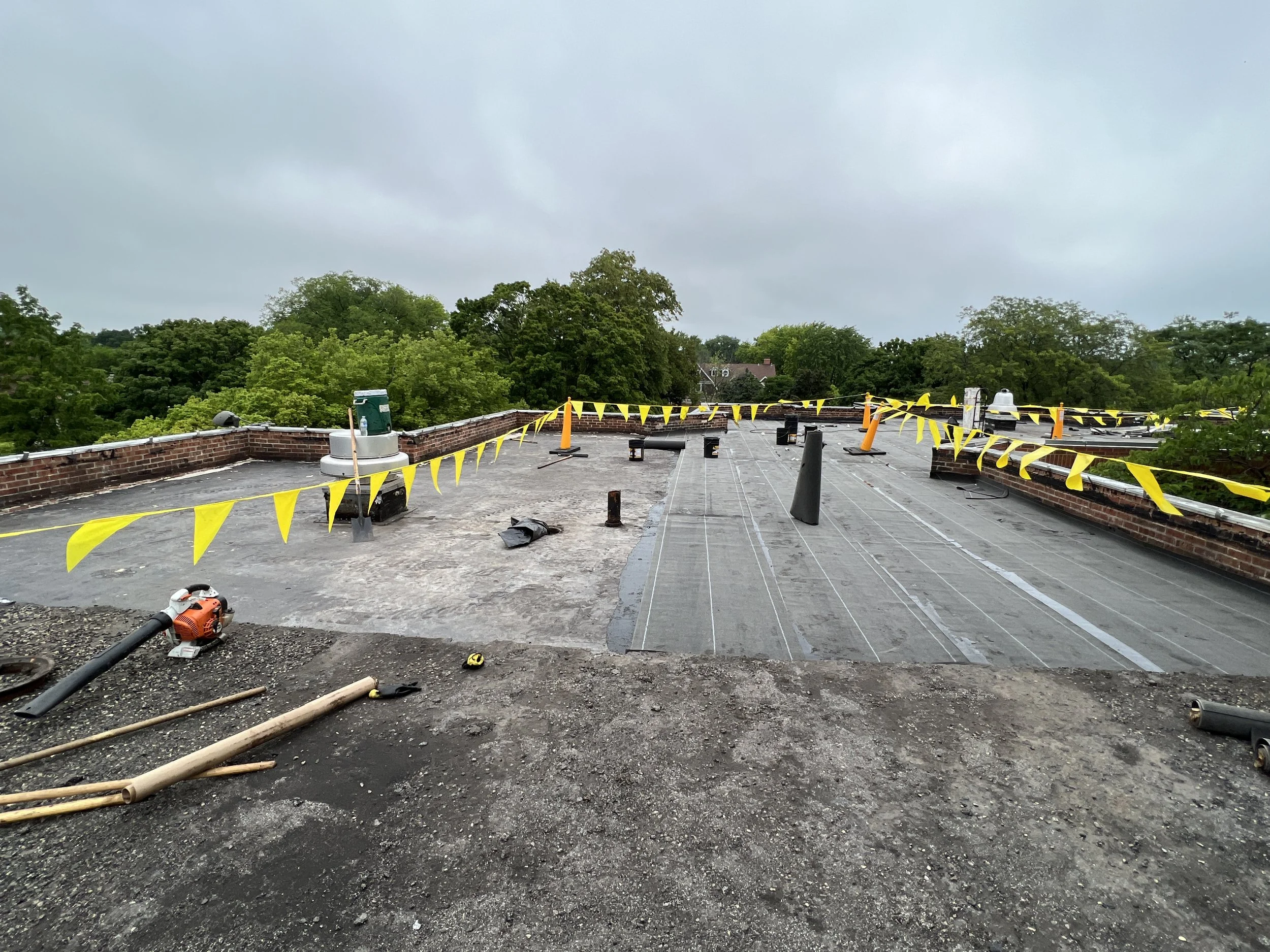 Foster Walker Roof 7.JPG
