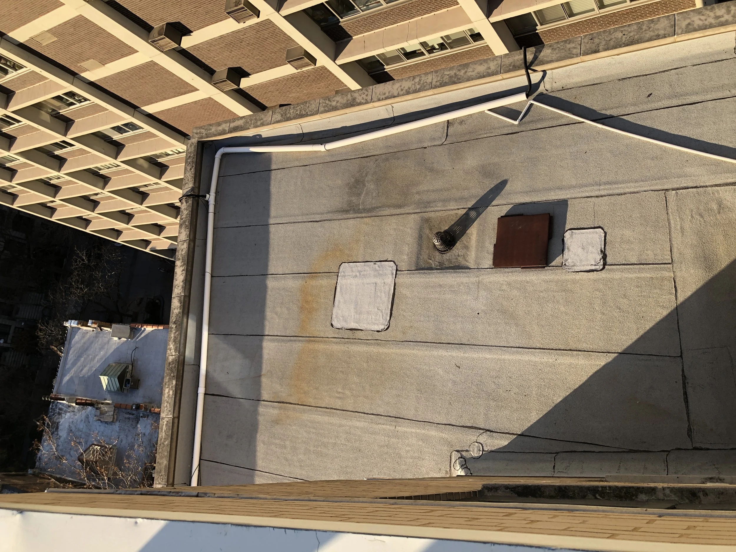 1350 N Astor Roof 4.JPG