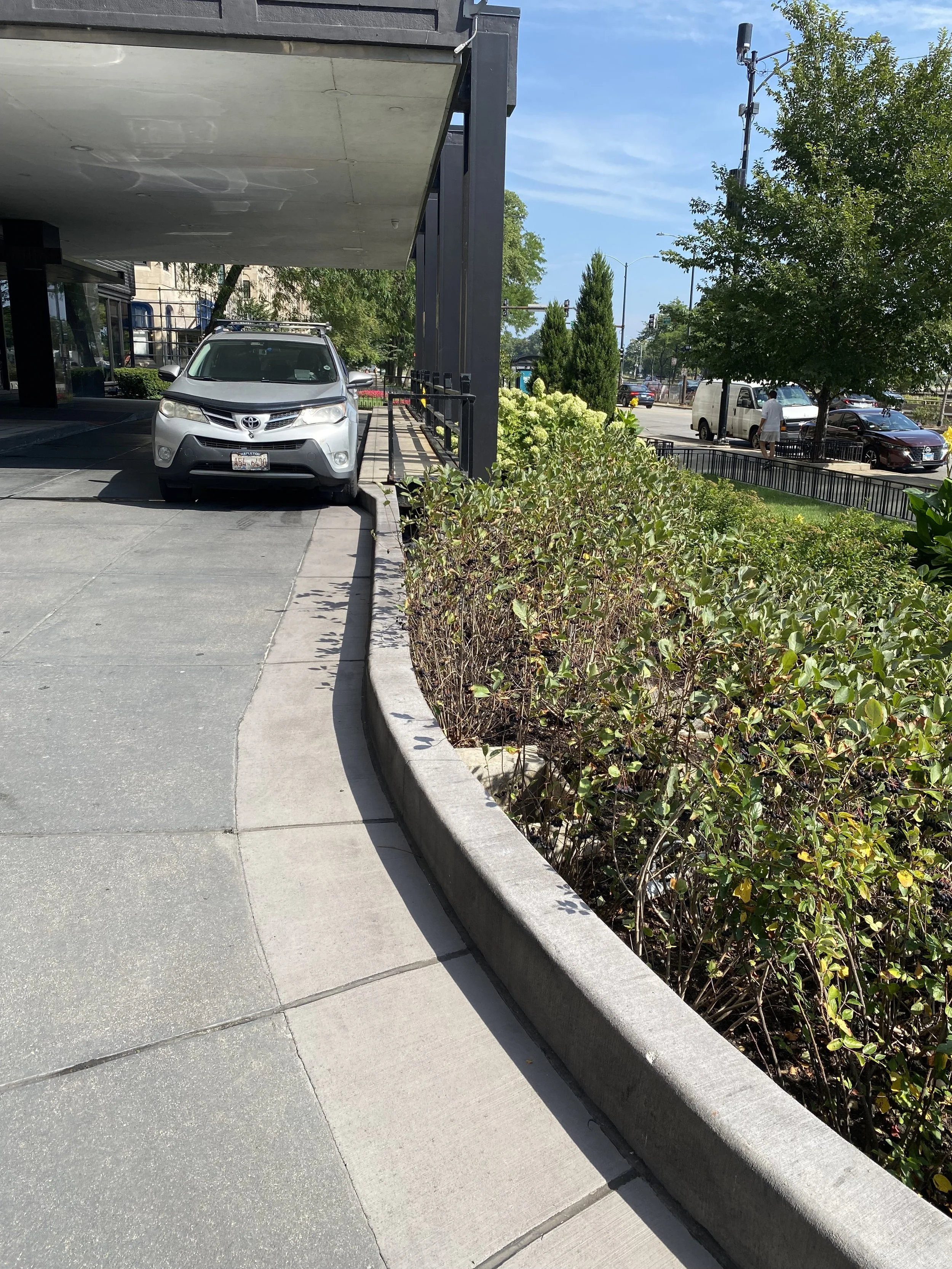 1440 N LSD Driveway 11.JPG