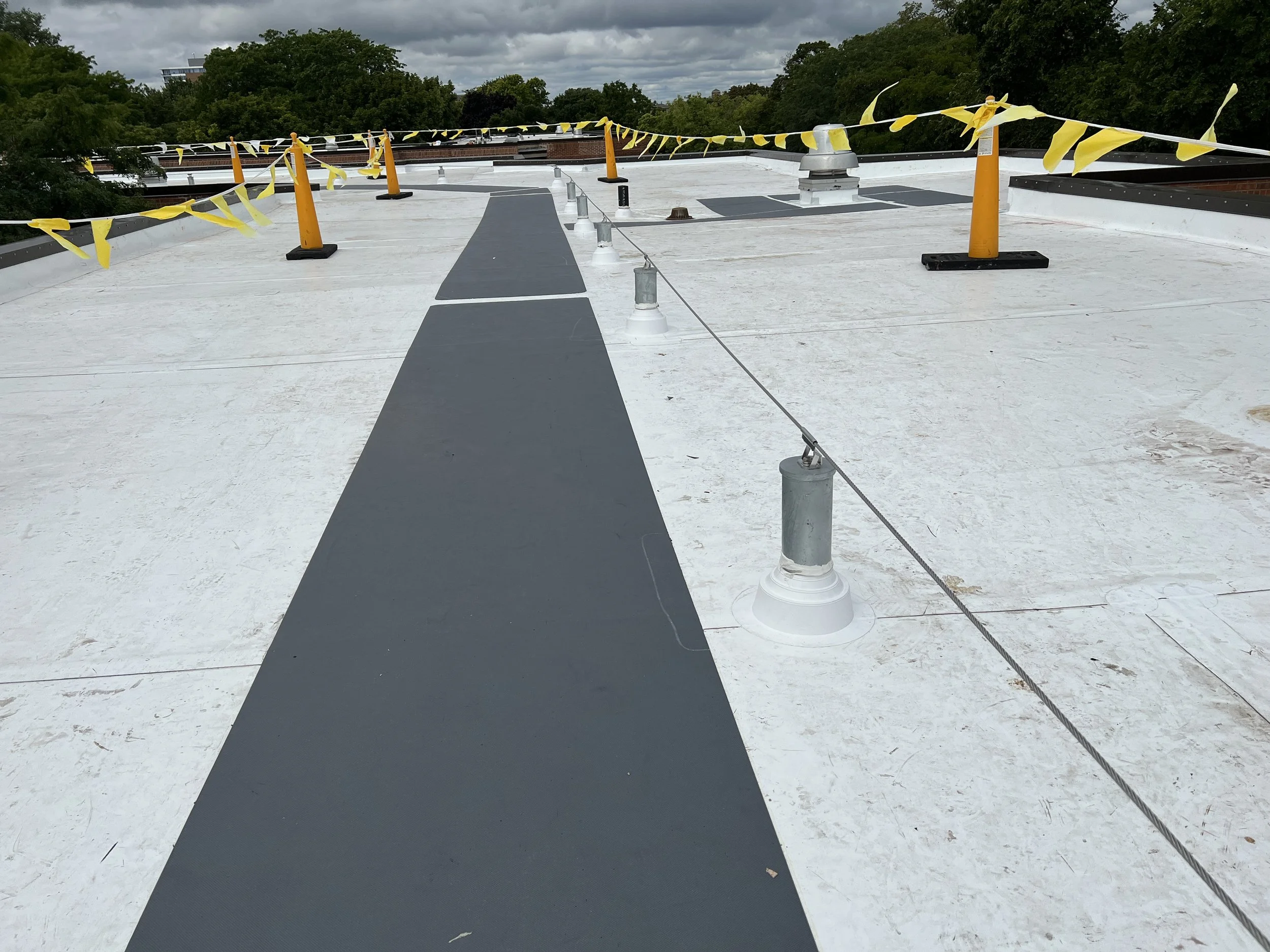 Foster Walker Roof 15.JPG