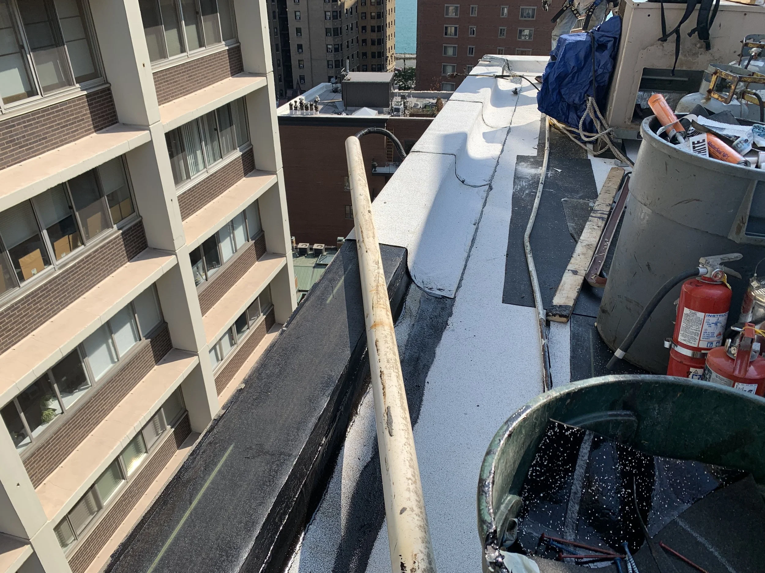 1350 N Astor Roof 10.JPG