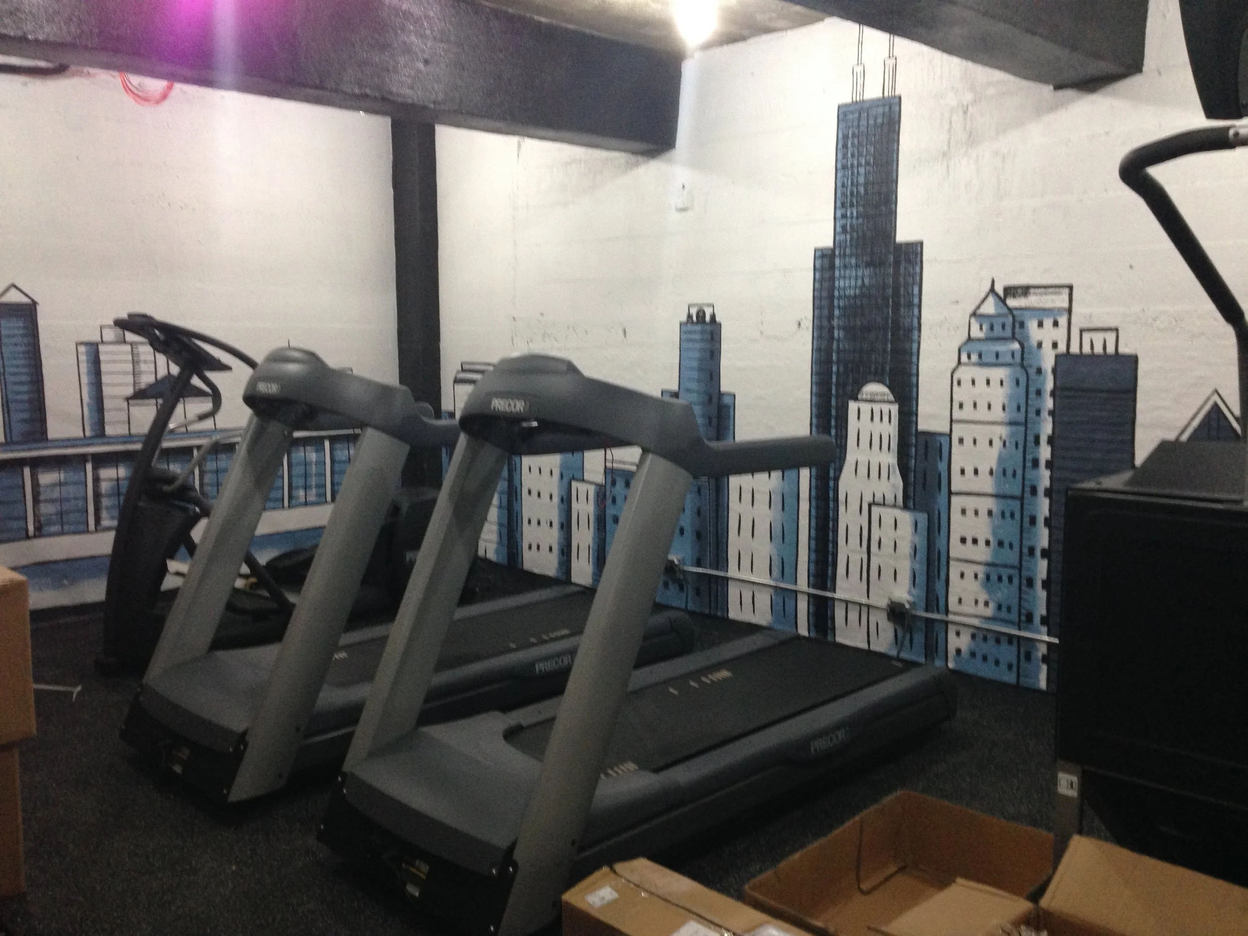 1120 N Lake Shore Drive