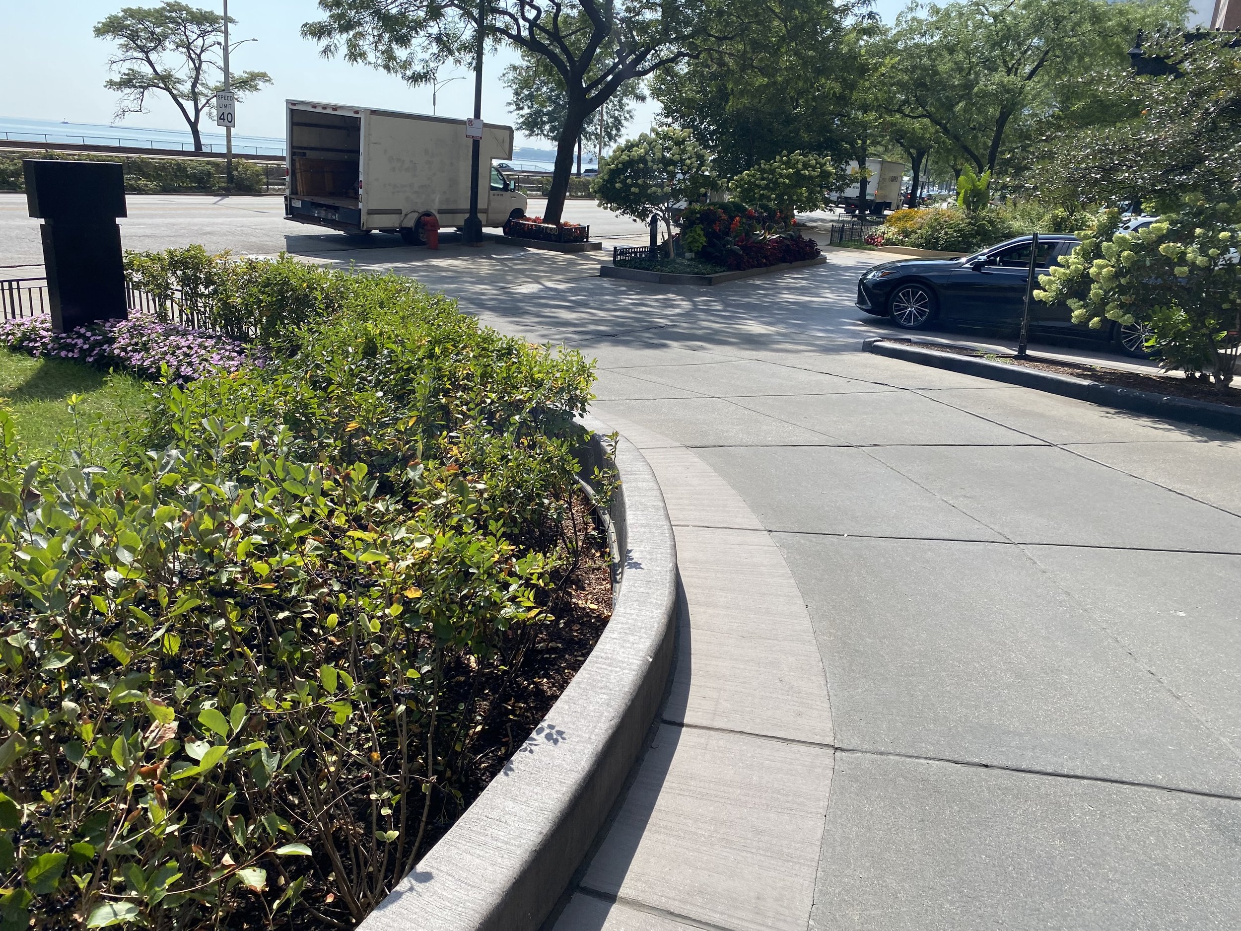 1440 N Lake Shore Drive