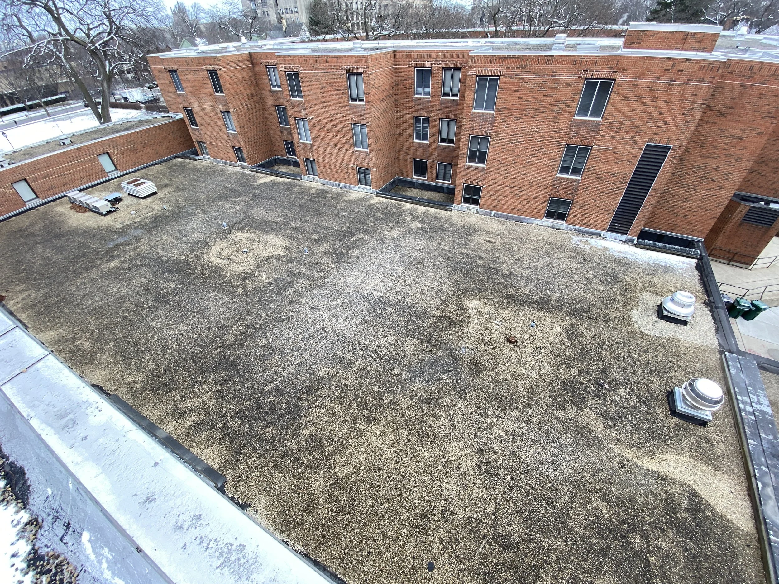 Foster Walker Roof 2.JPG