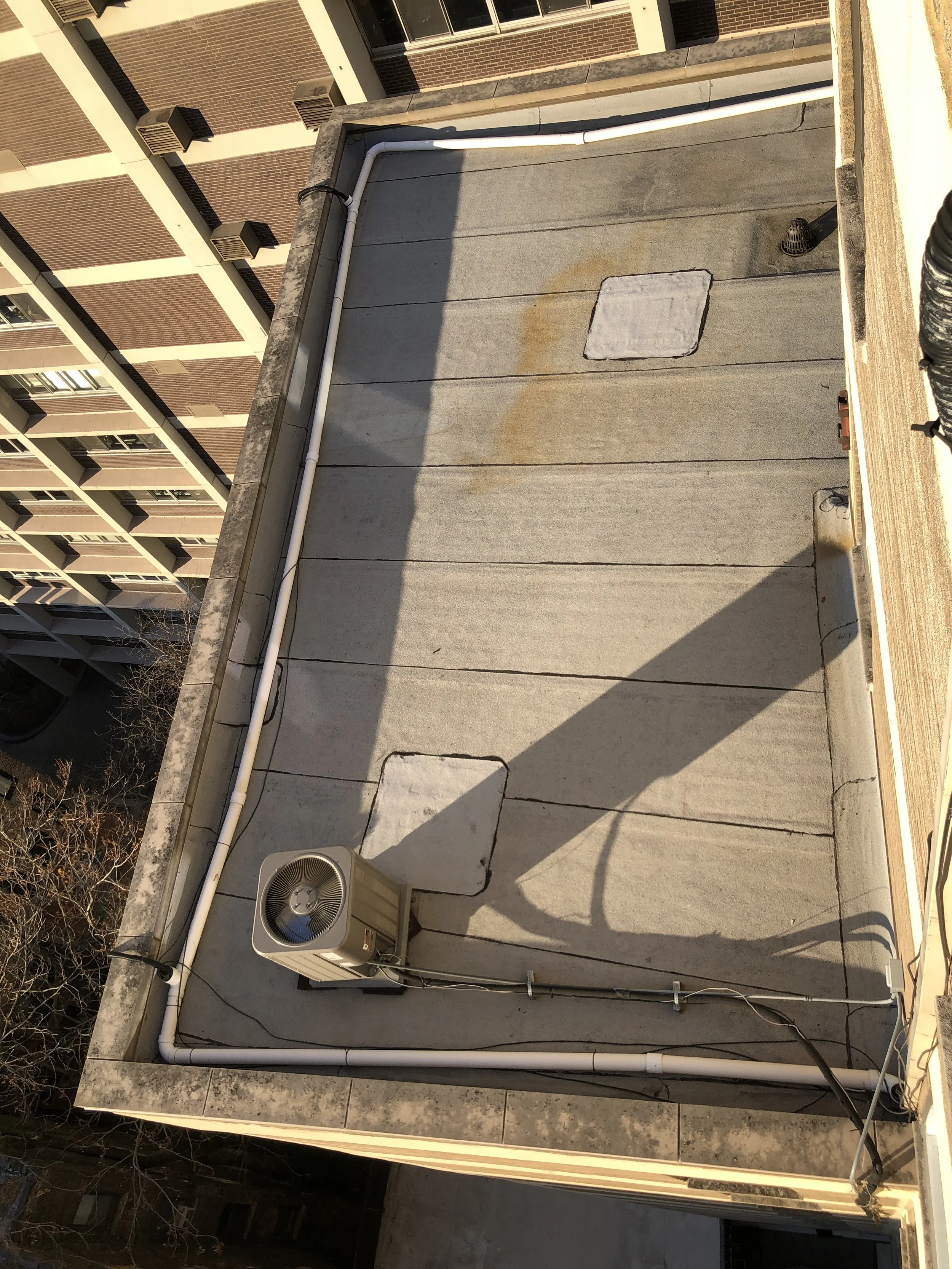 1350 N Astor Roof 2.JPG