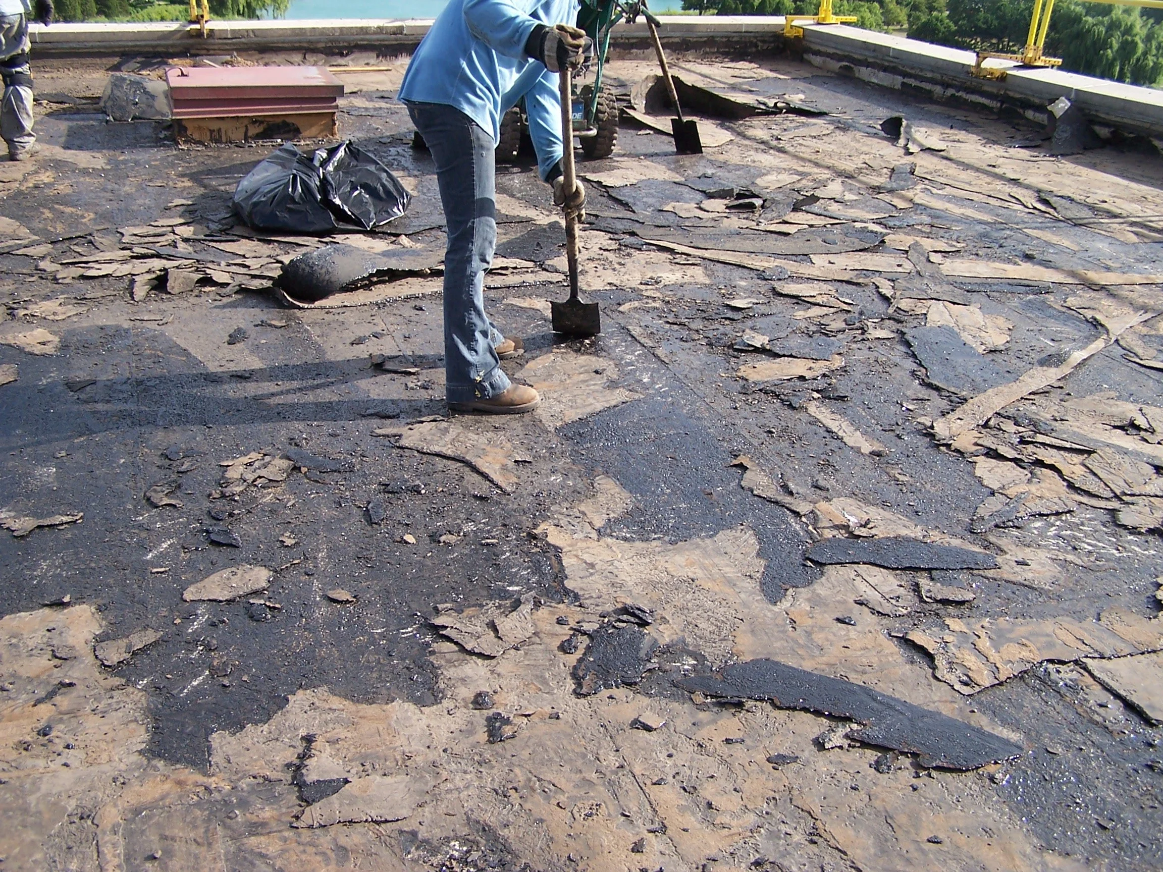 NU Norris Roof 4.JPG