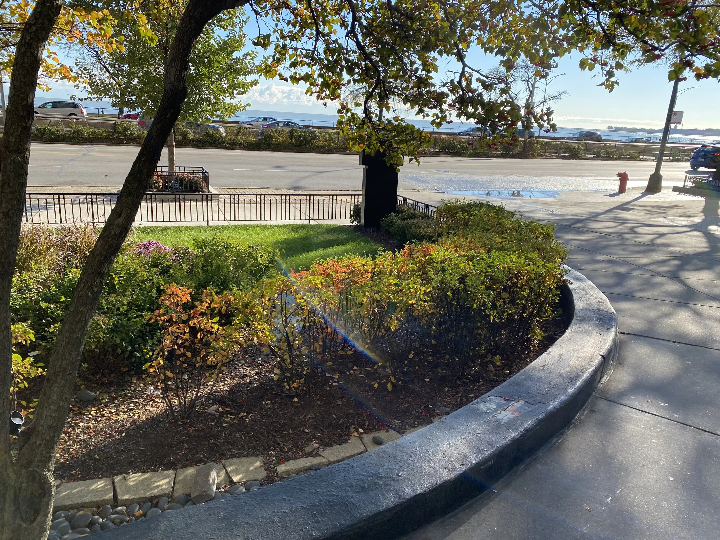 1440 N LSD Driveway 1.JPG