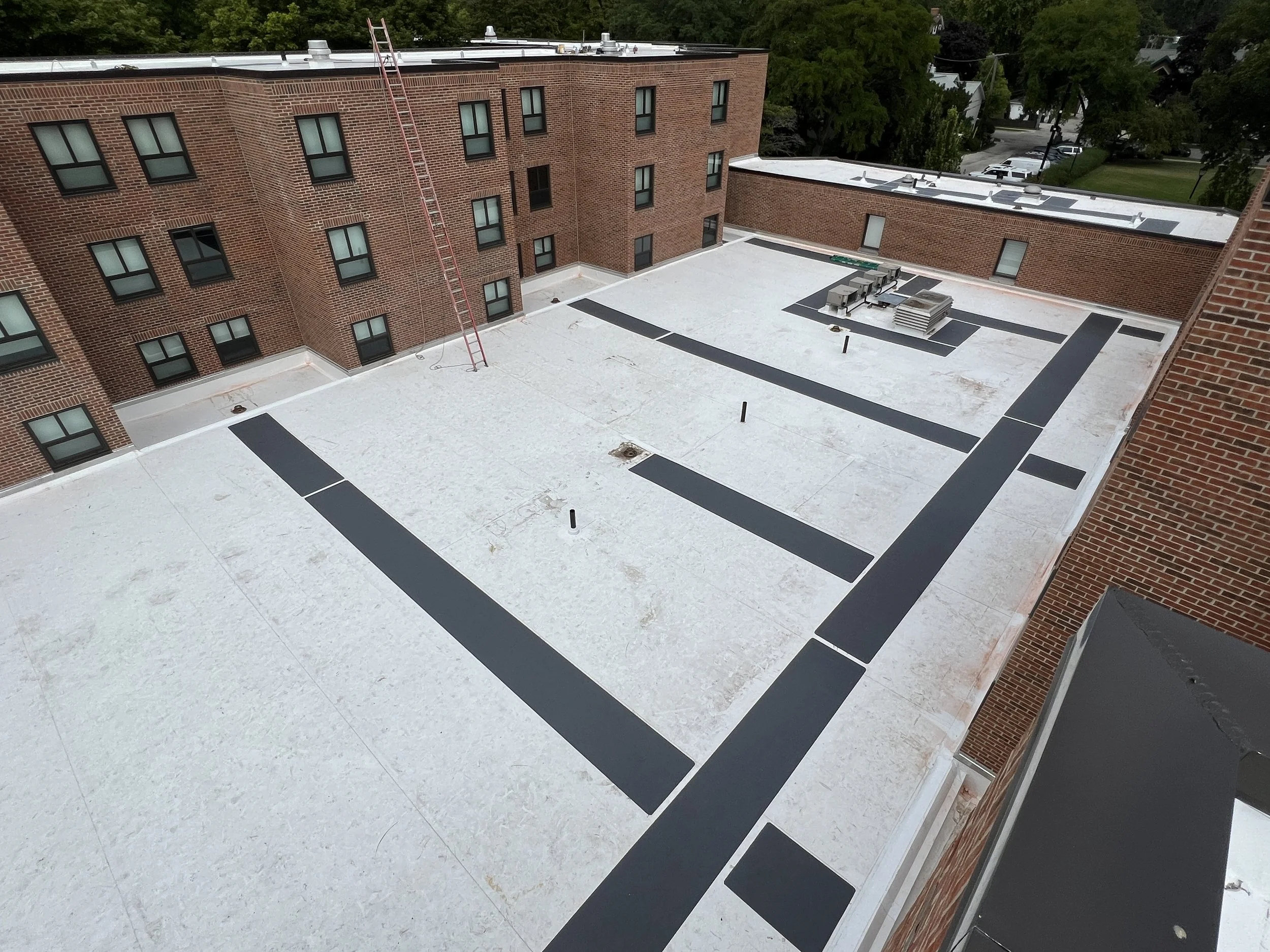 Foster Walker Roof 16.JPG