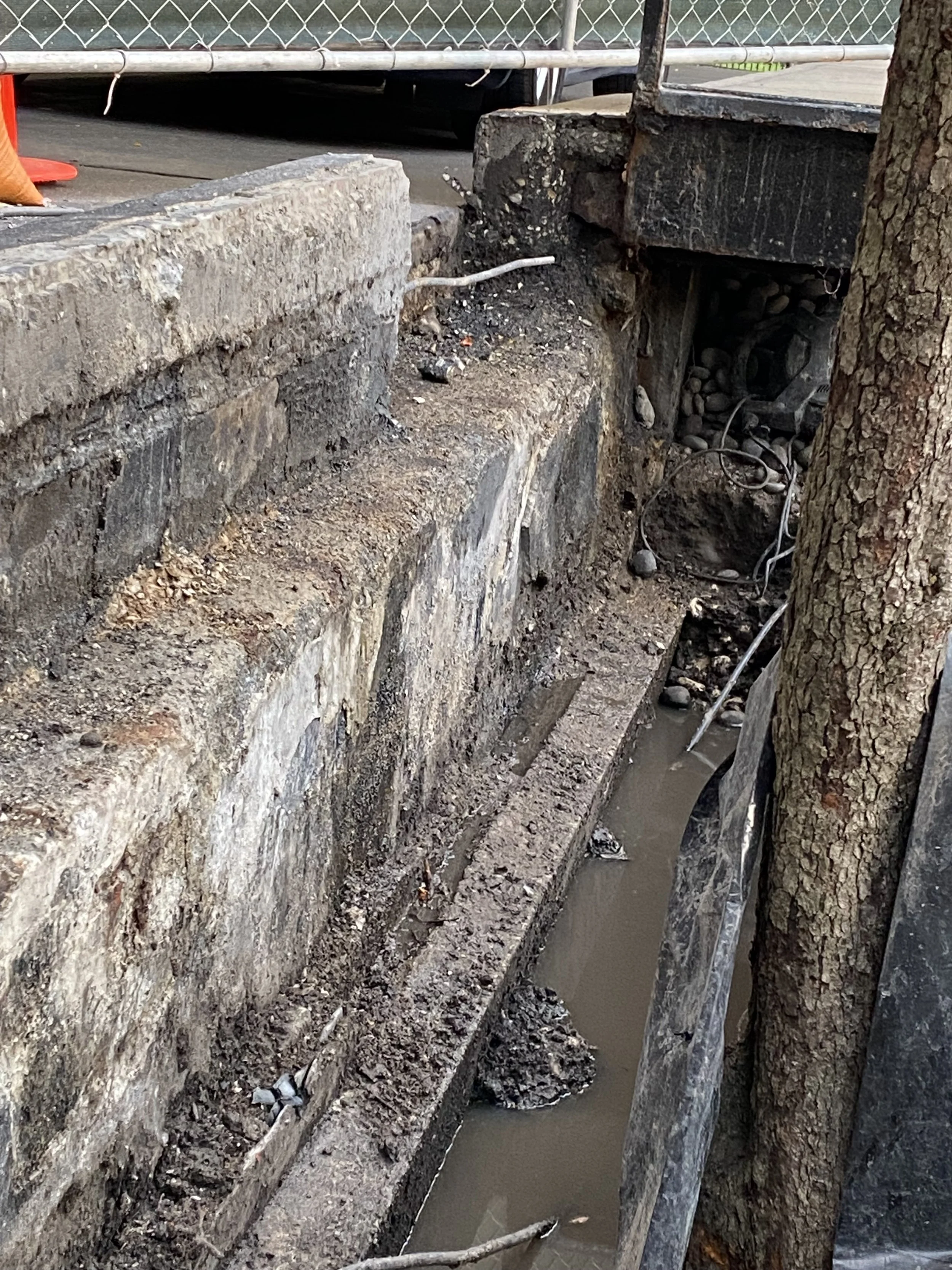 1440 N LSD Driveway 4.JPG