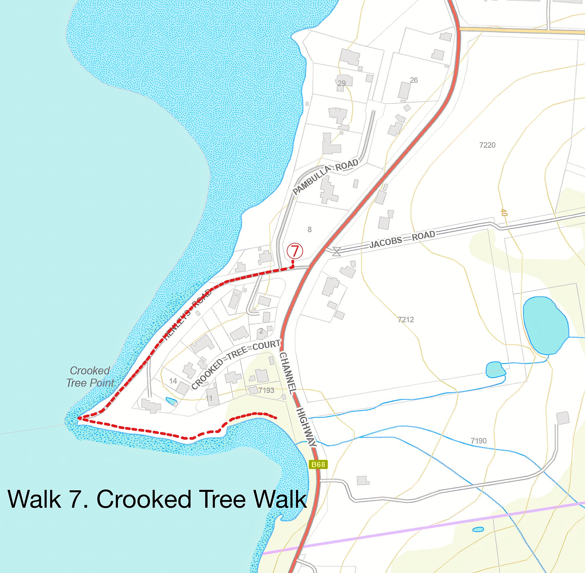 Walk 7  
Crooked Tree Walk