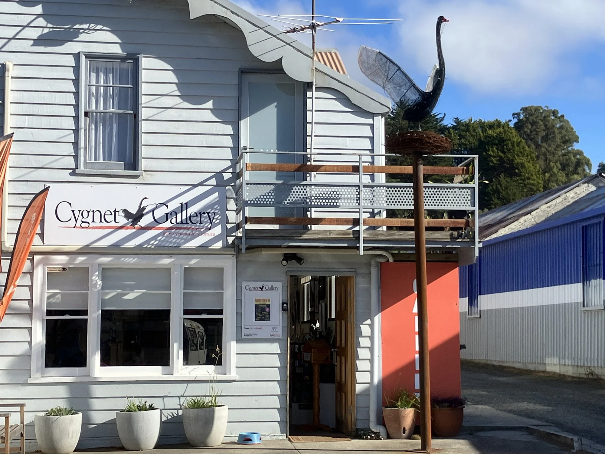 Cygnet Gallery