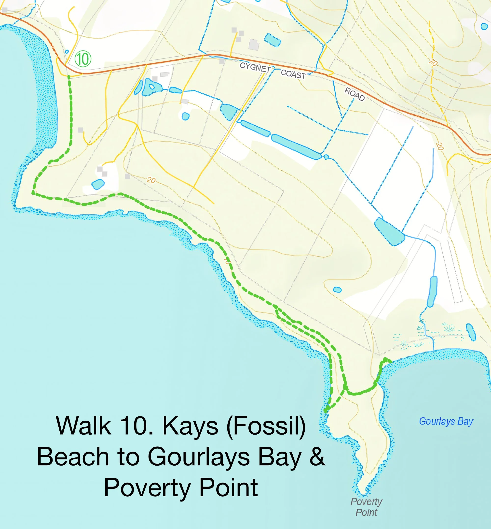 Walk 10_online.jpg