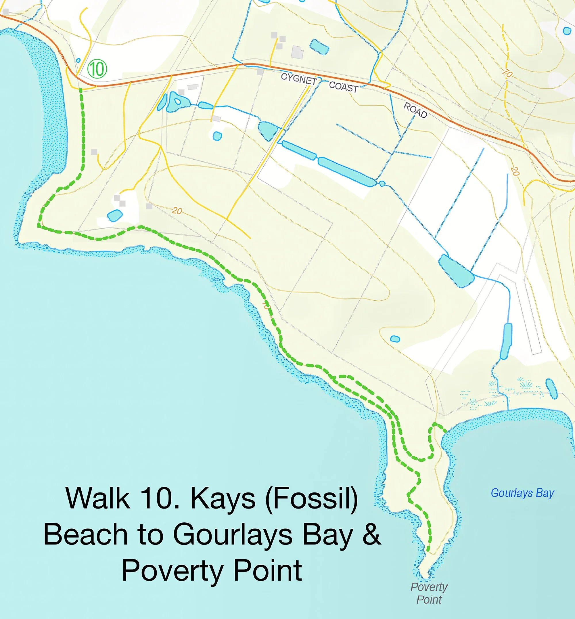 Walk 10  
Kays (Fossil) Beach to Gourlays Bay & Poverty Point
