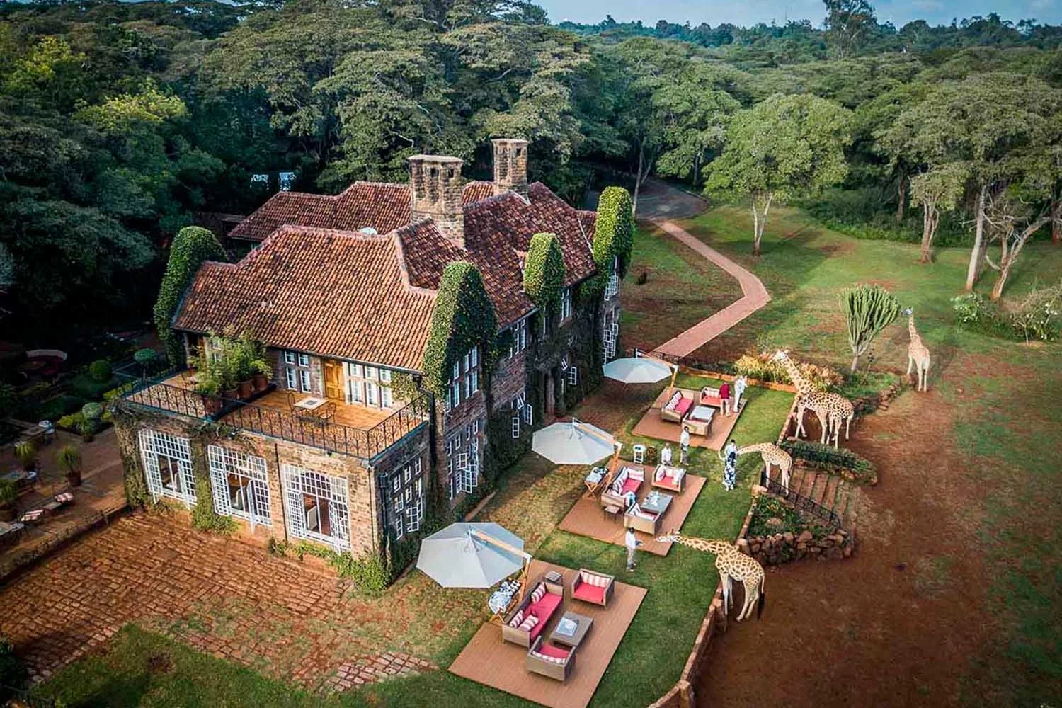 giraffe-manor-gallery-60da3da0473da.jpeg